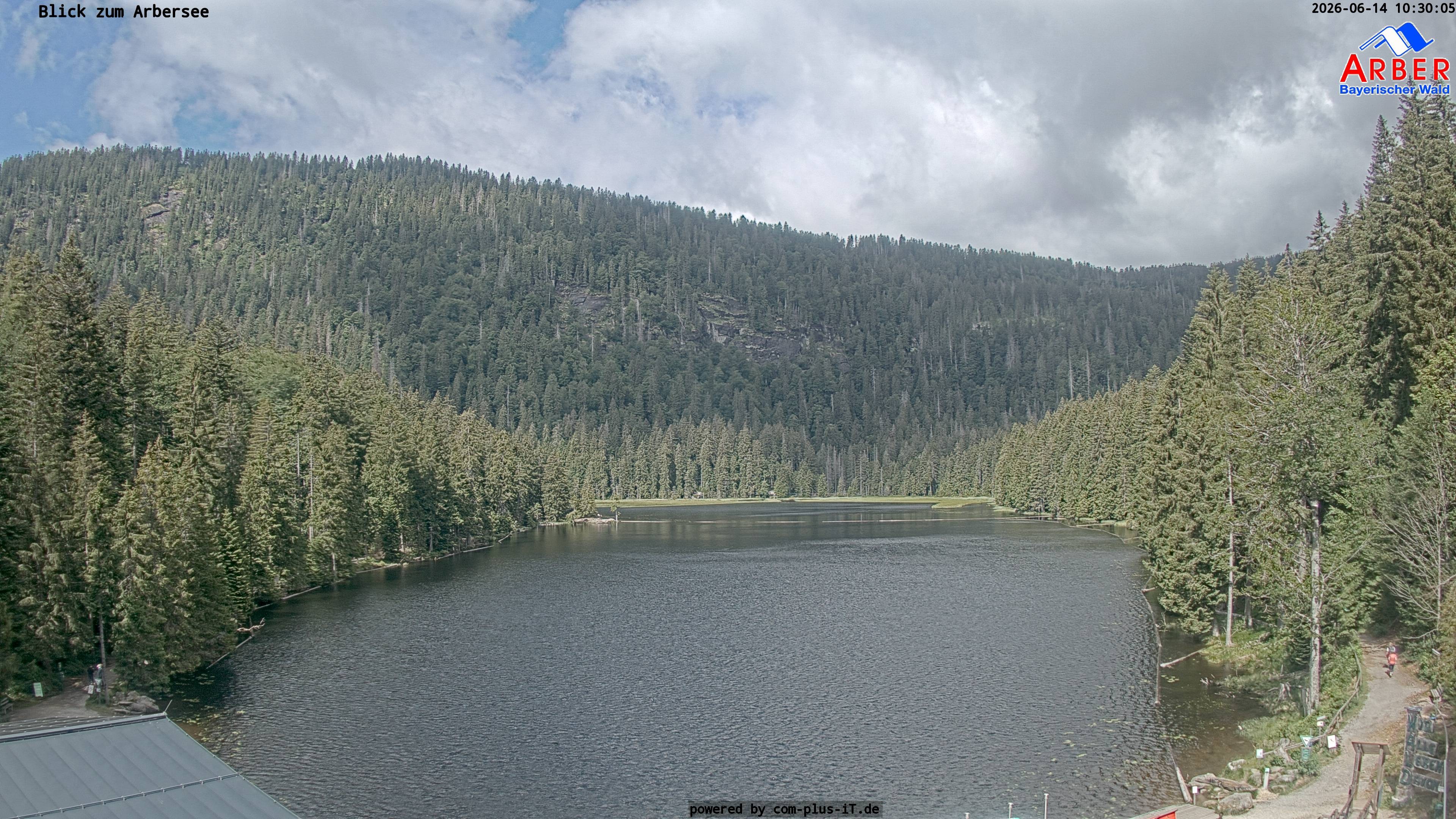 Archiv Foto Webcam Großer Arbersee - Bayerischer Wald