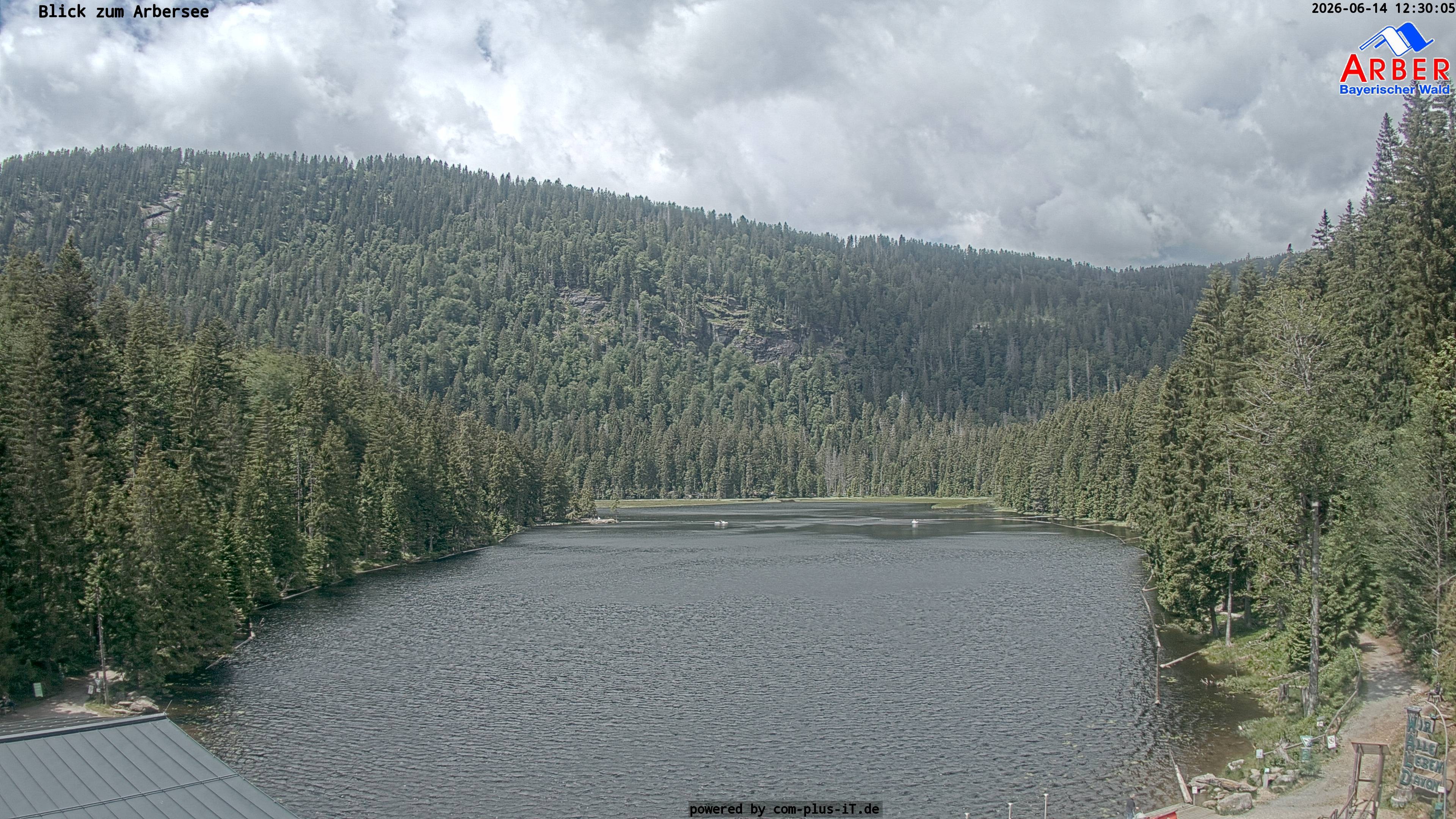 Archiv Foto Webcam Großer Arbersee - Bayerischer Wald