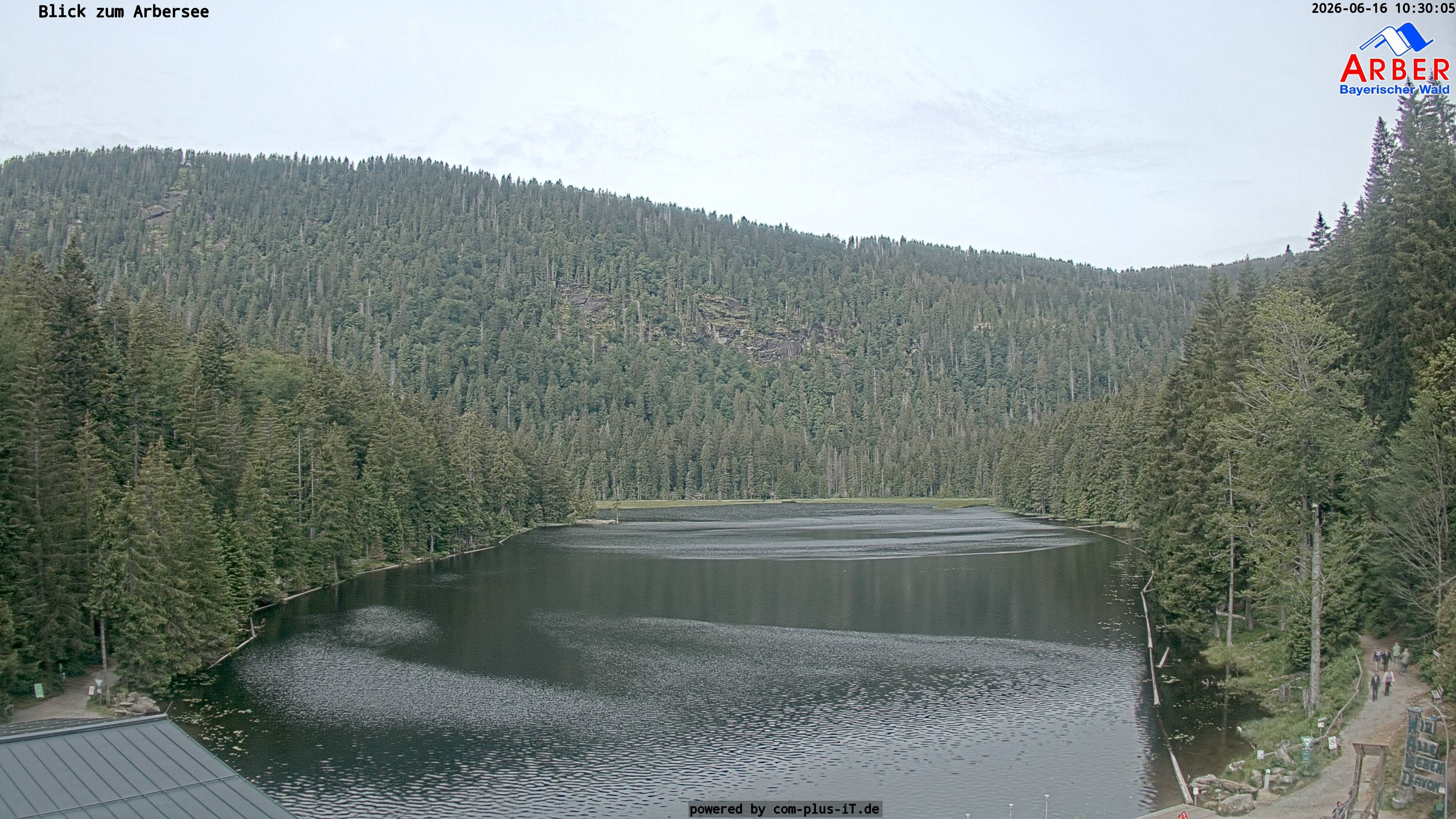 Archiv Foto Webcam Großer Arbersee - Bayerischer Wald