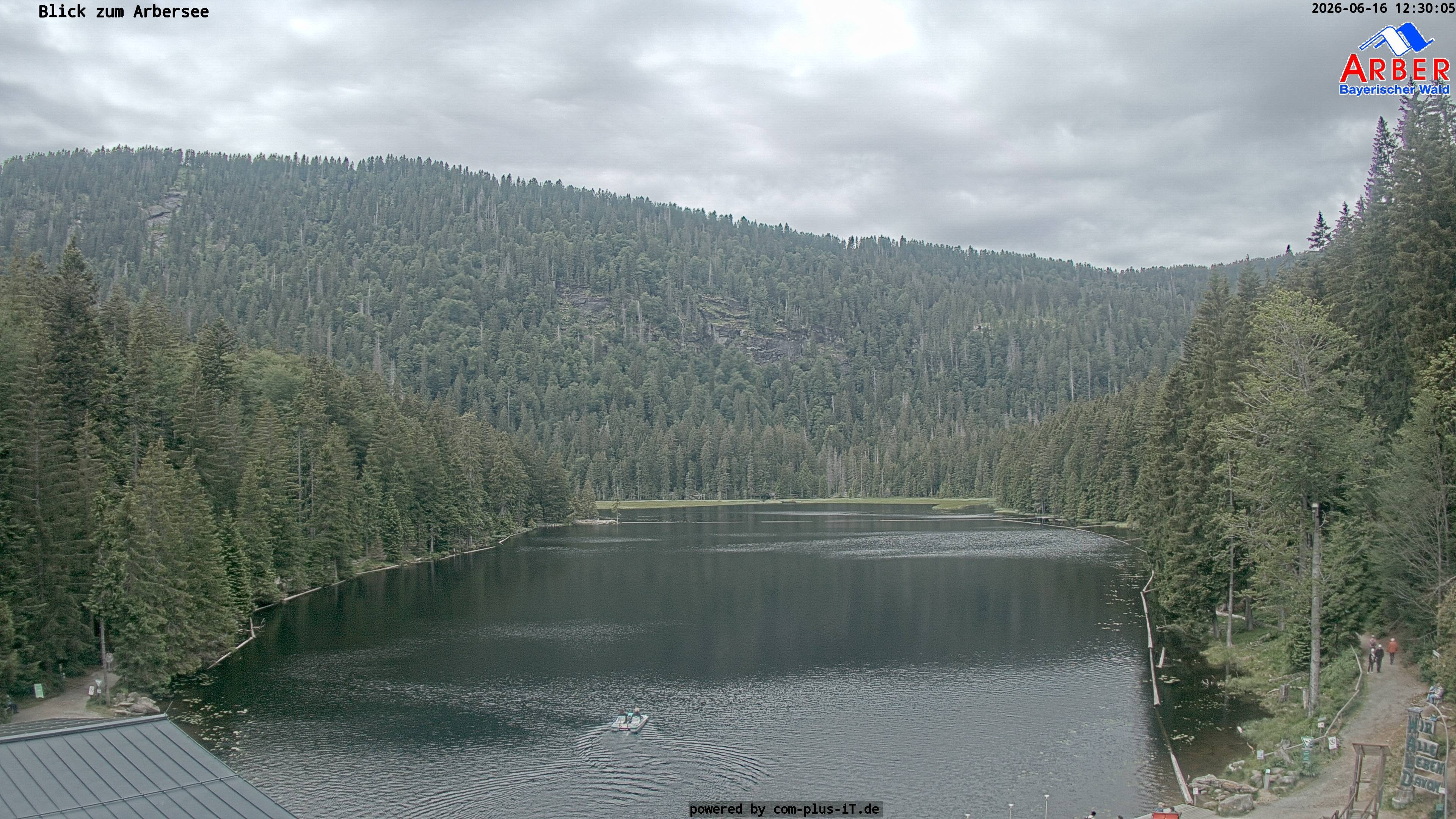 Archiv Foto Webcam Großer Arbersee - Bayerischer Wald