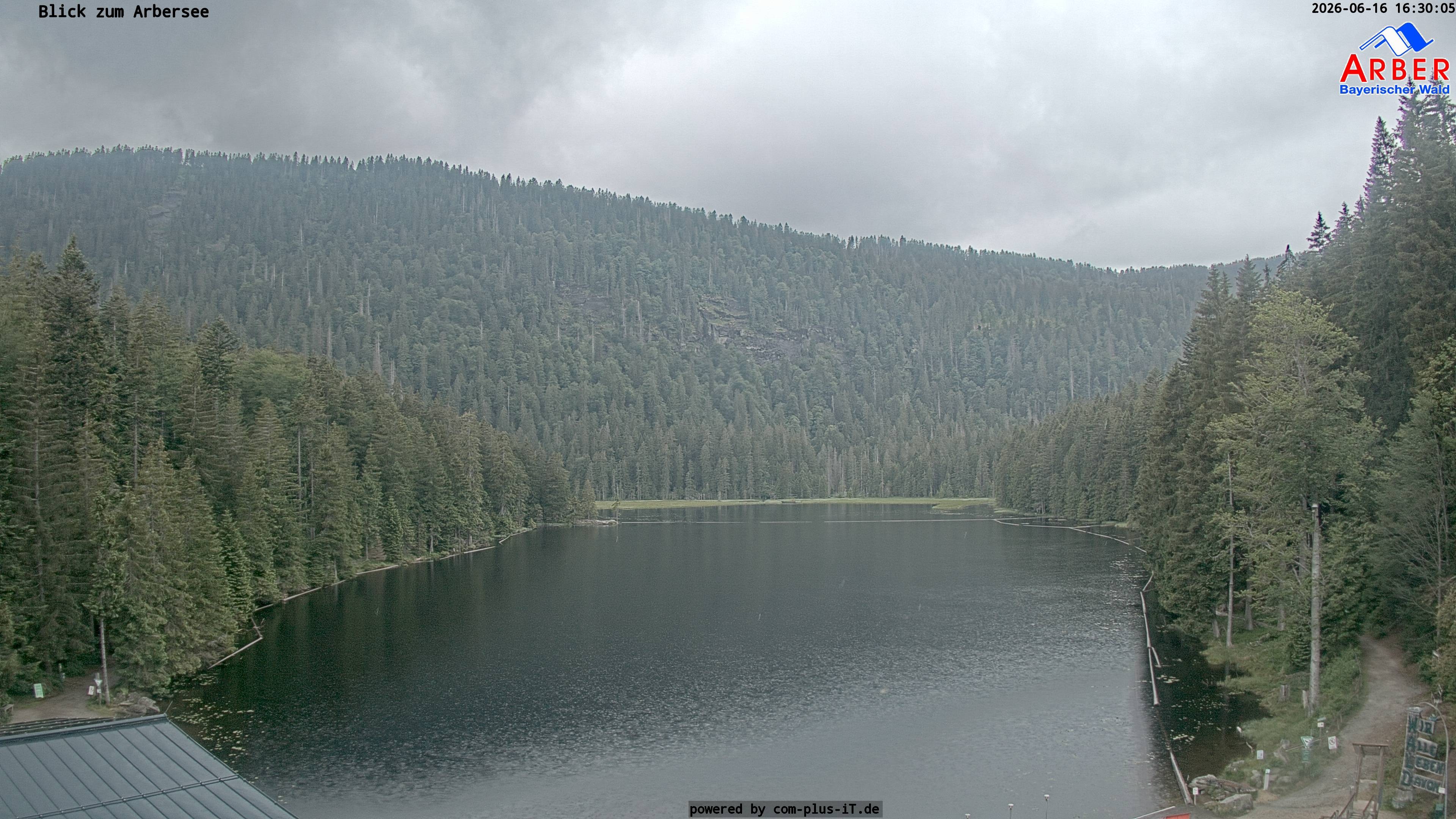 Archiv Foto Webcam Großer Arbersee - Bayerischer Wald