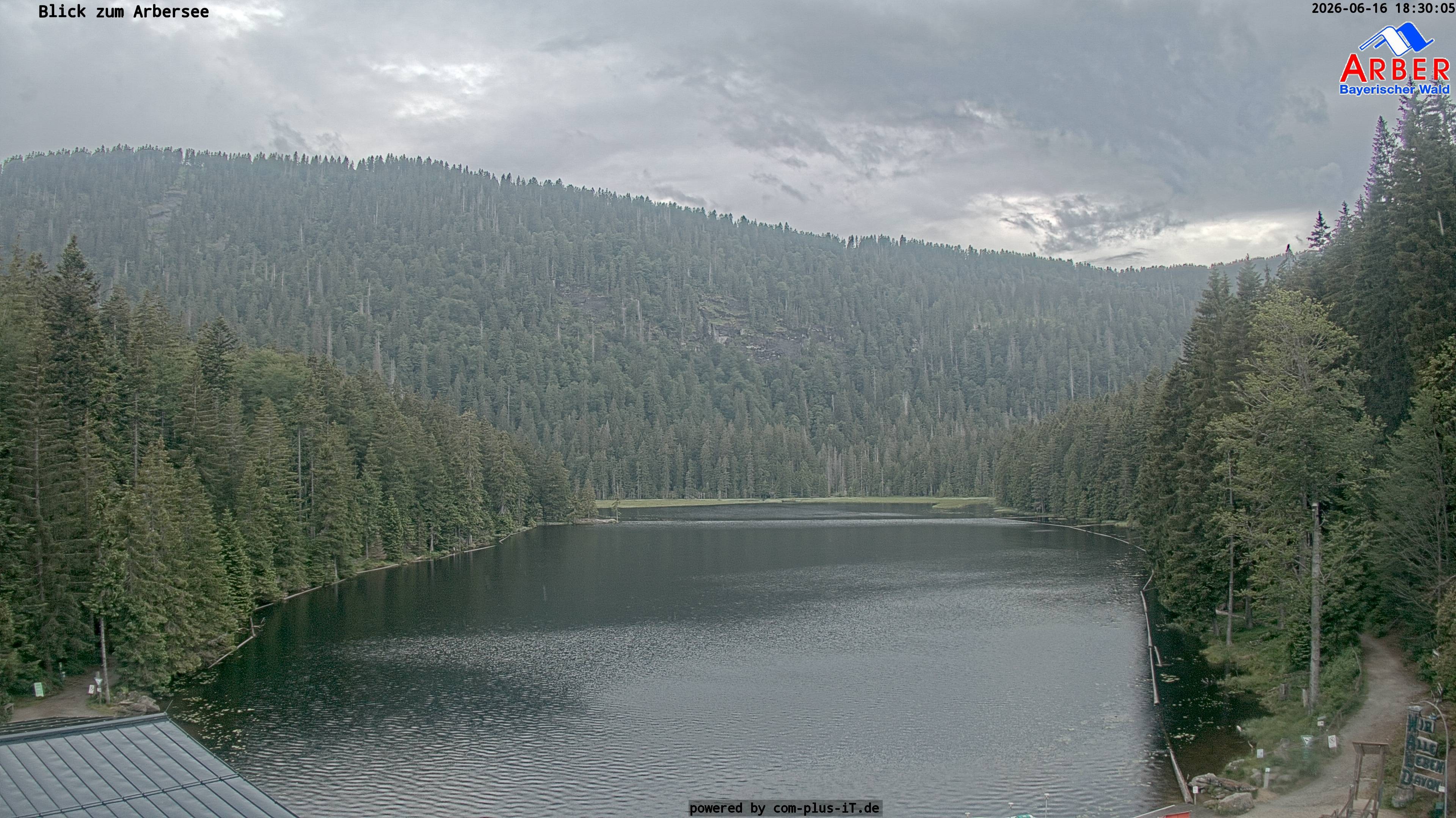 Archiv Foto Webcam Großer Arbersee - Bayerischer Wald