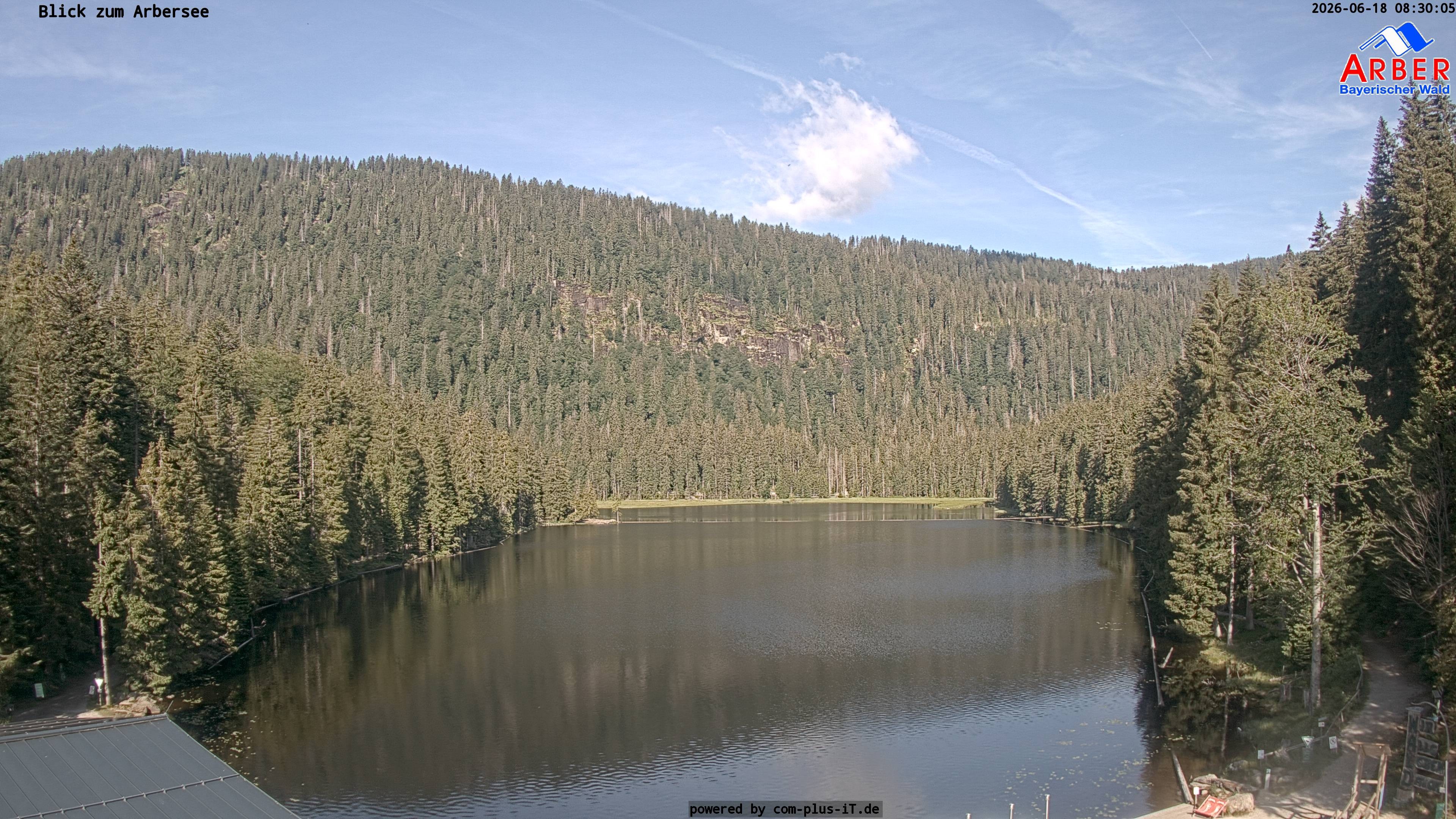 Archiv Foto Webcam Großer Arbersee - Bayerischer Wald