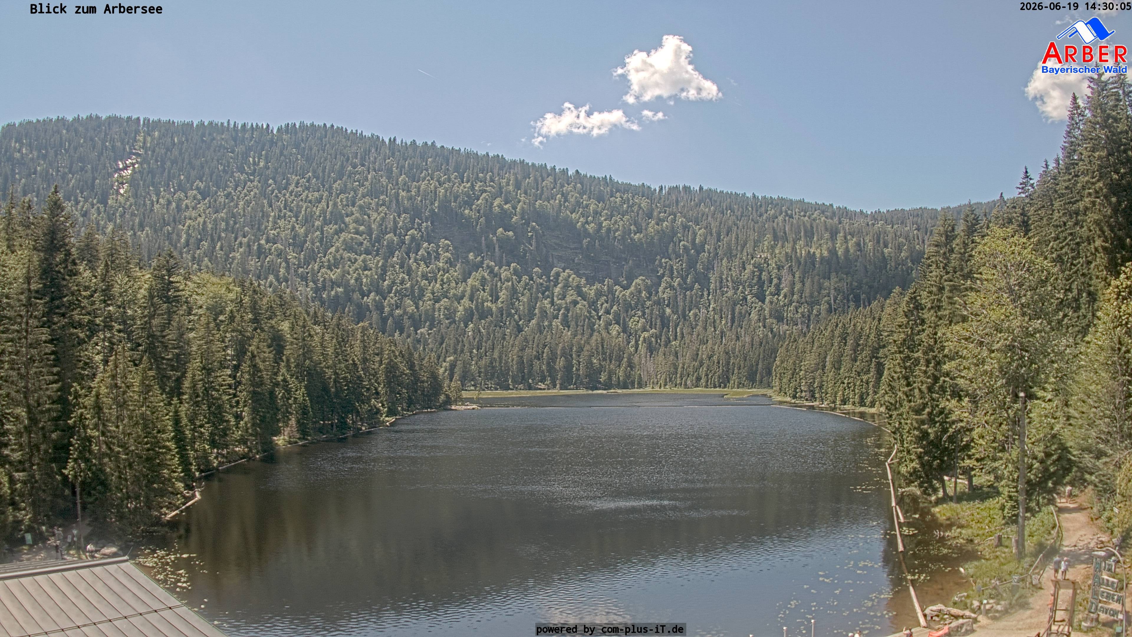 Archiv Foto Webcam Großer Arbersee - Bayerischer Wald