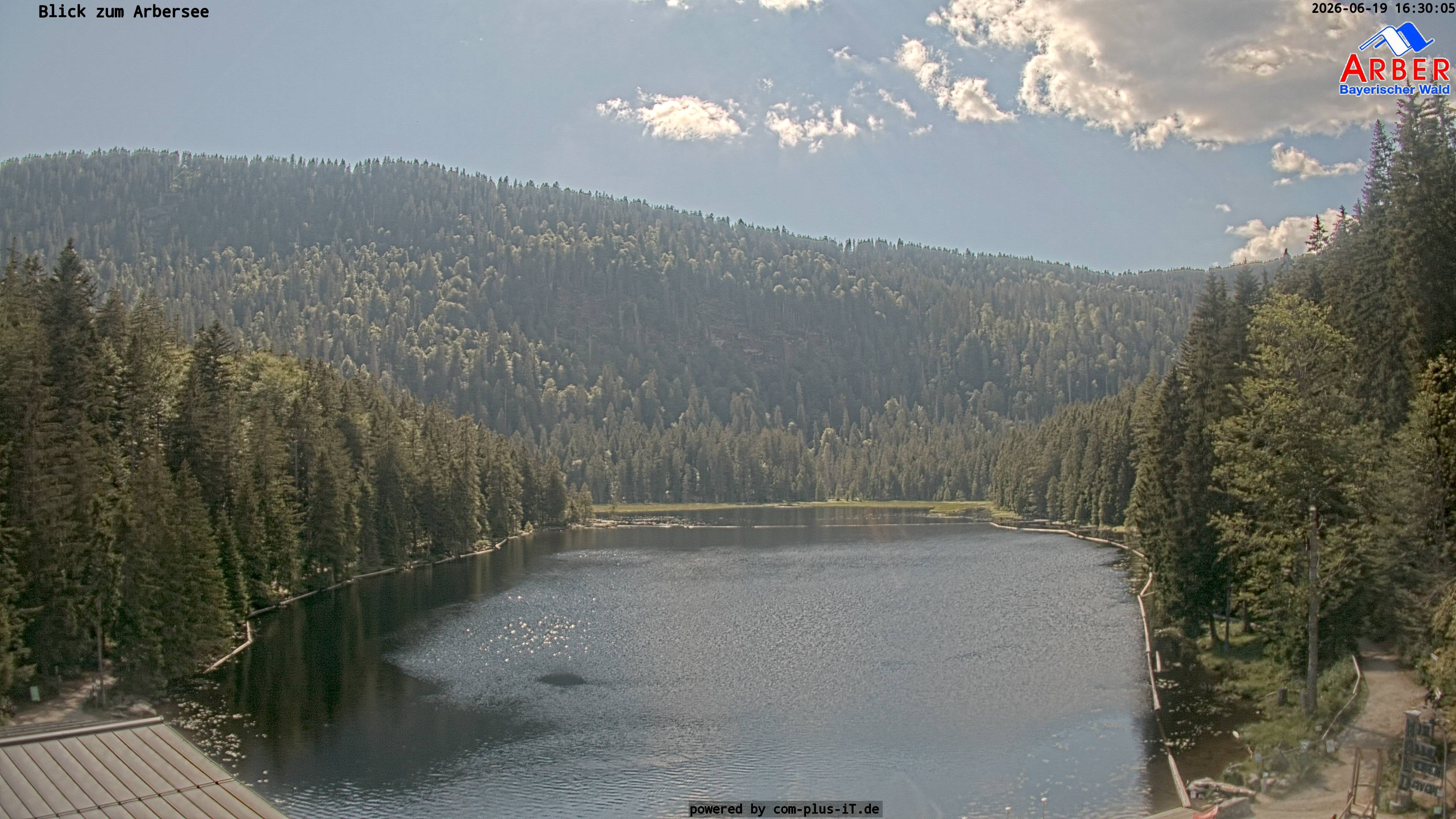 Archiv Foto Webcam Großer Arbersee - Bayerischer Wald
