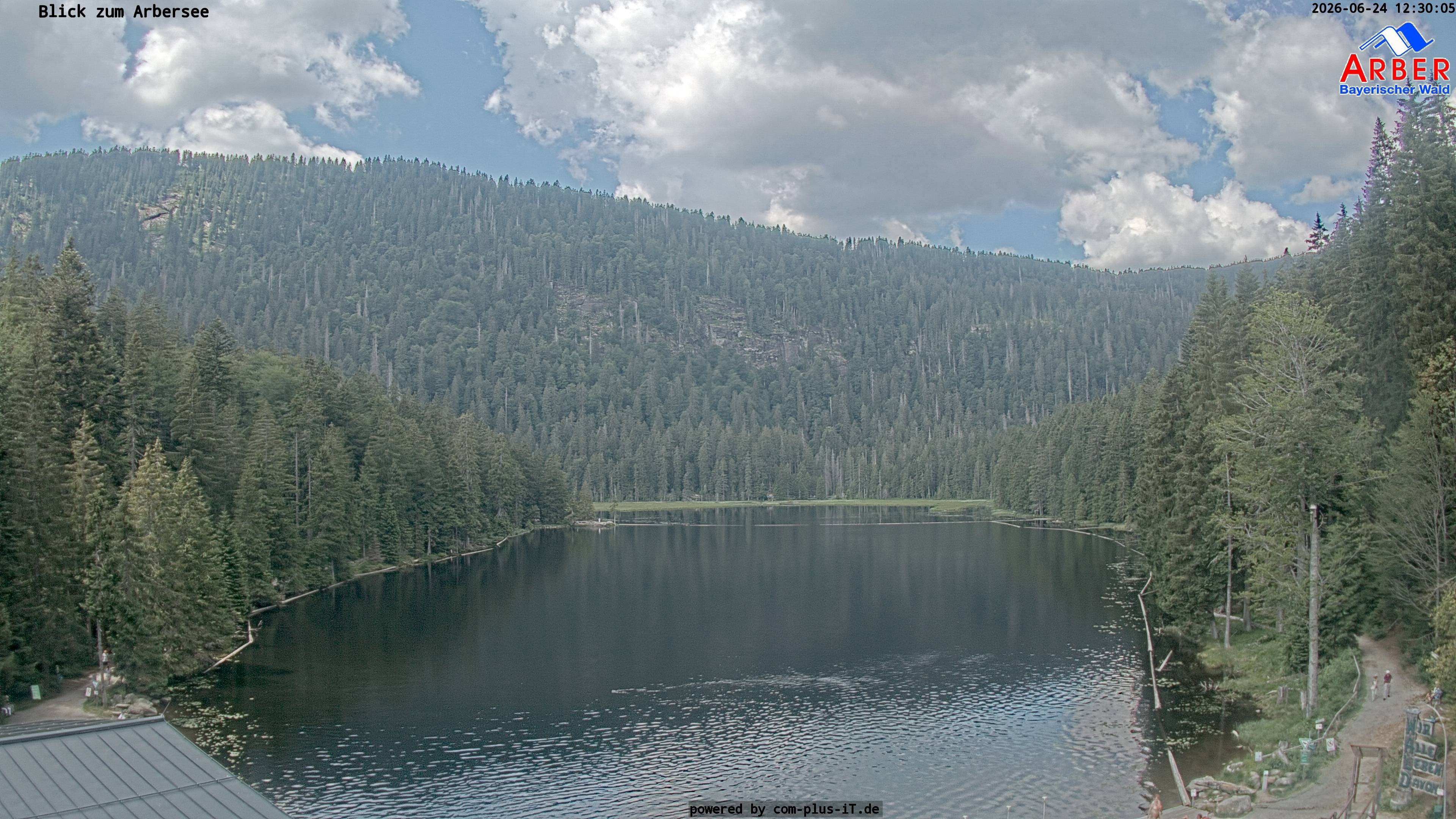 Archiv Foto Webcam Großer Arbersee - Bayerischer Wald