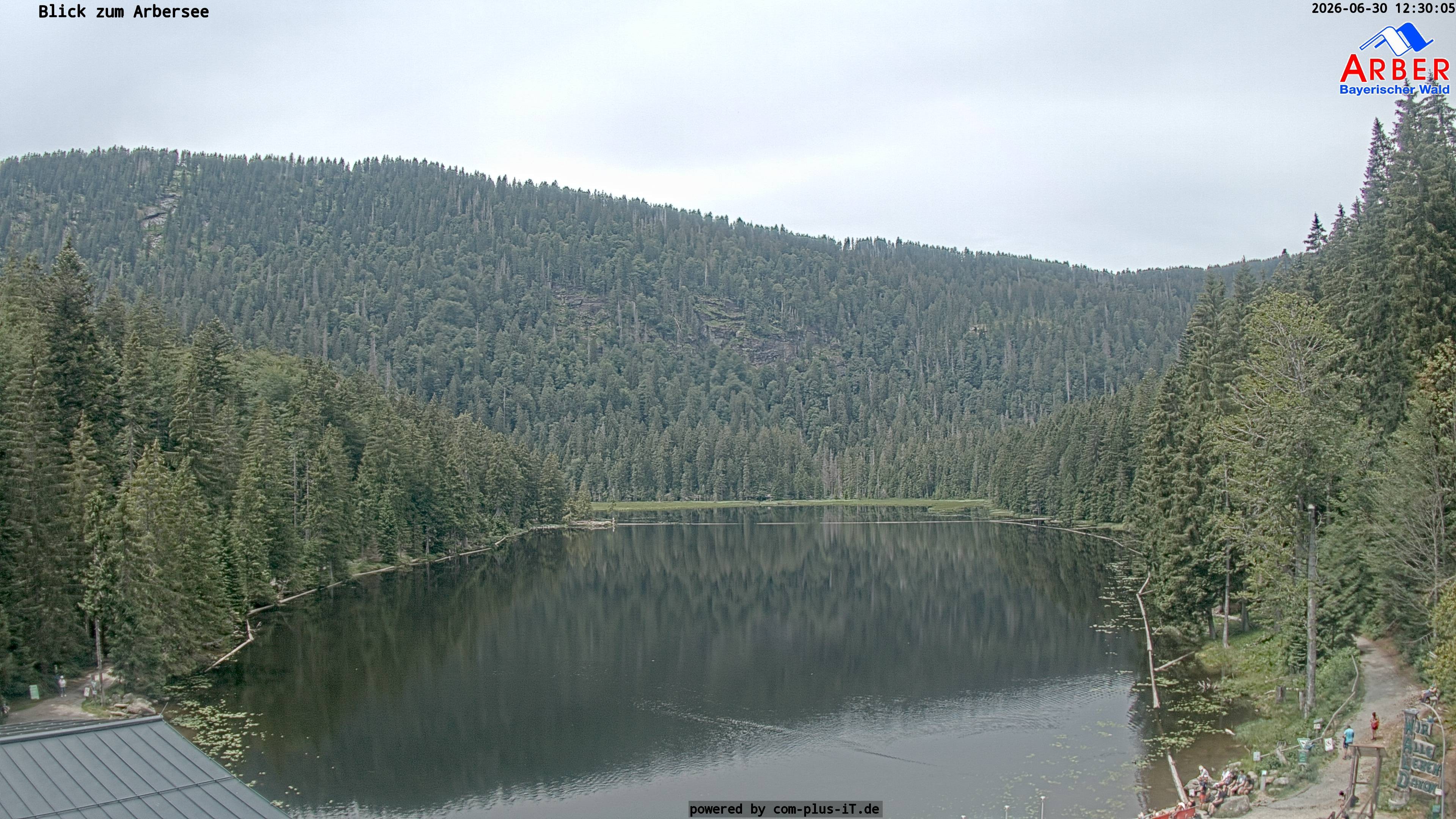 Archived image Webcam Lake "Großer Arbersee" (Bavarian Forest)