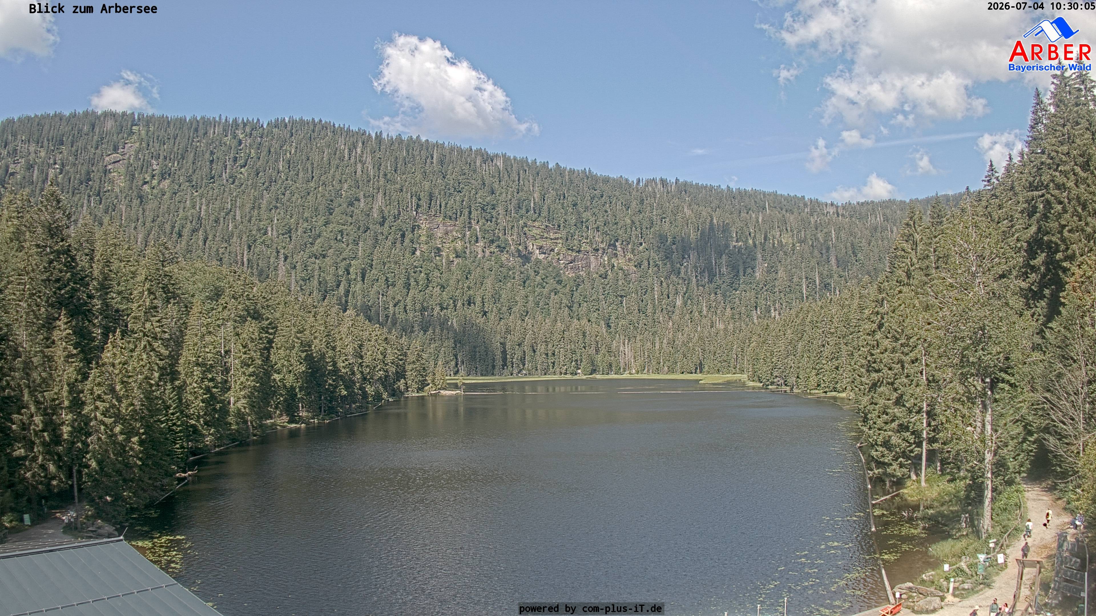 Archiv Foto Webcam Großer Arbersee - Bayerischer Wald