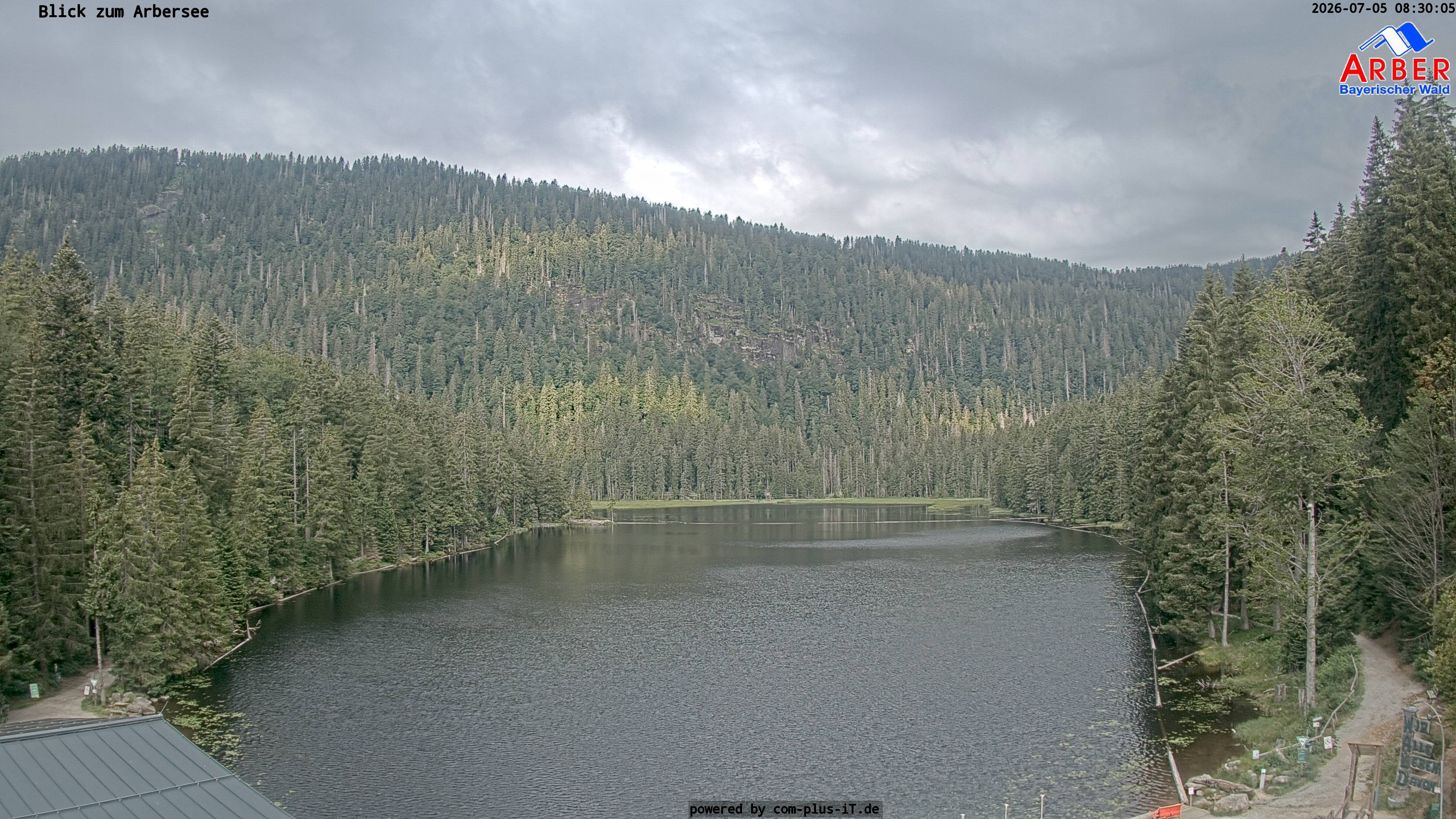 Archiv Foto Webcam Großer Arbersee - Bayerischer Wald
