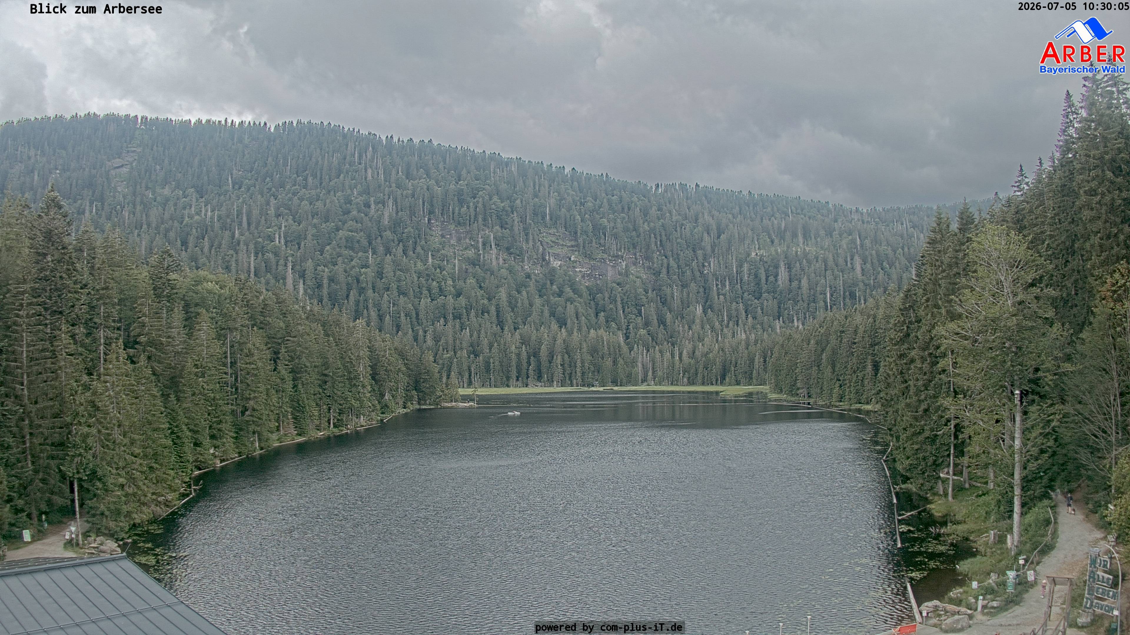 Archiv Foto Webcam Großer Arbersee - Bayerischer Wald