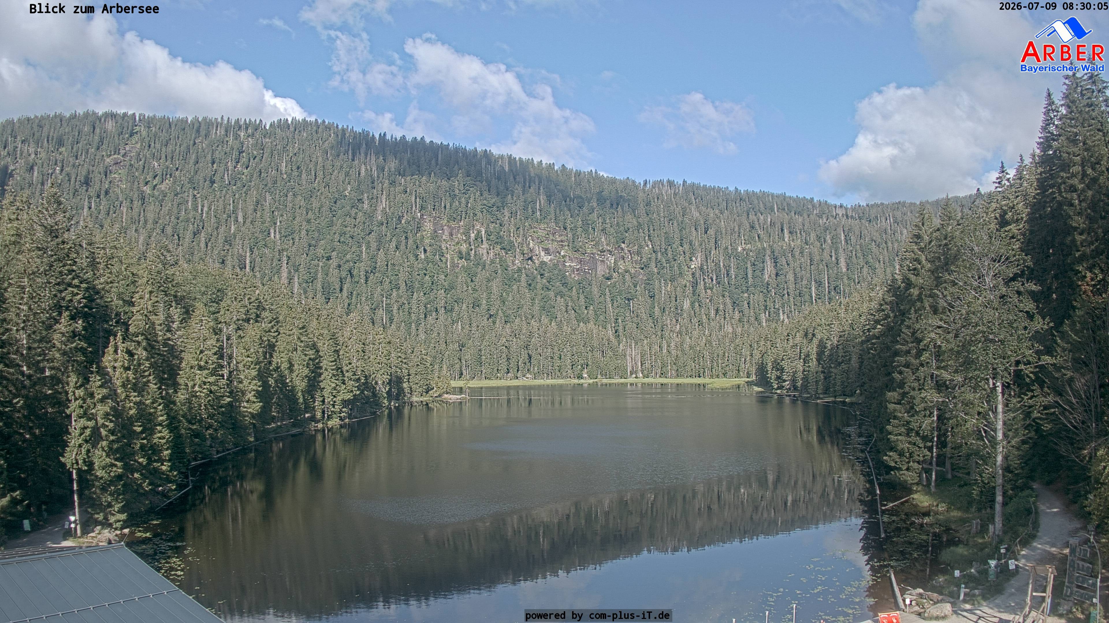 Archiv Foto Webcam Großer Arbersee - Bayerischer Wald