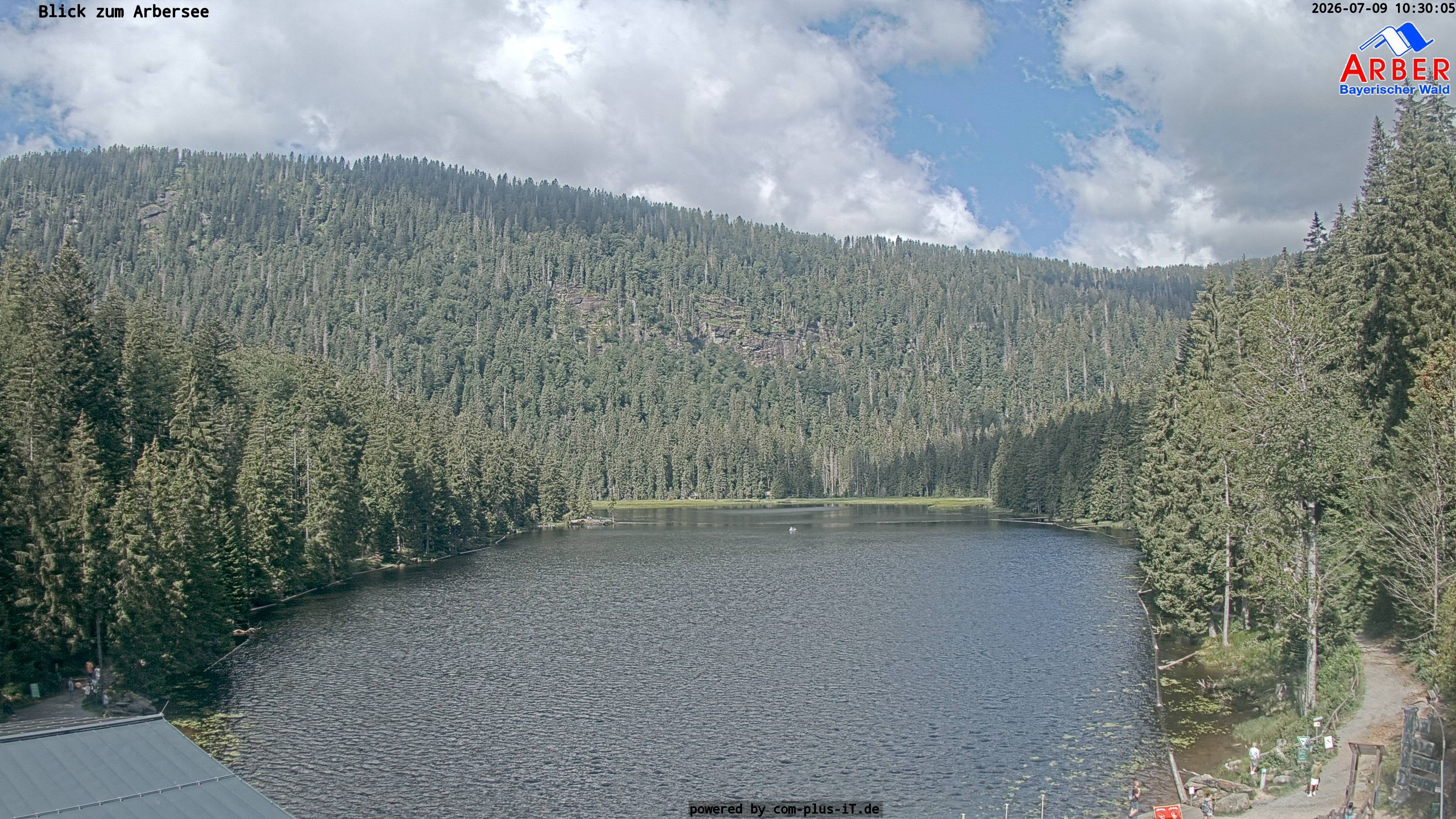 Archiv Foto Webcam Großer Arbersee - Bayerischer Wald