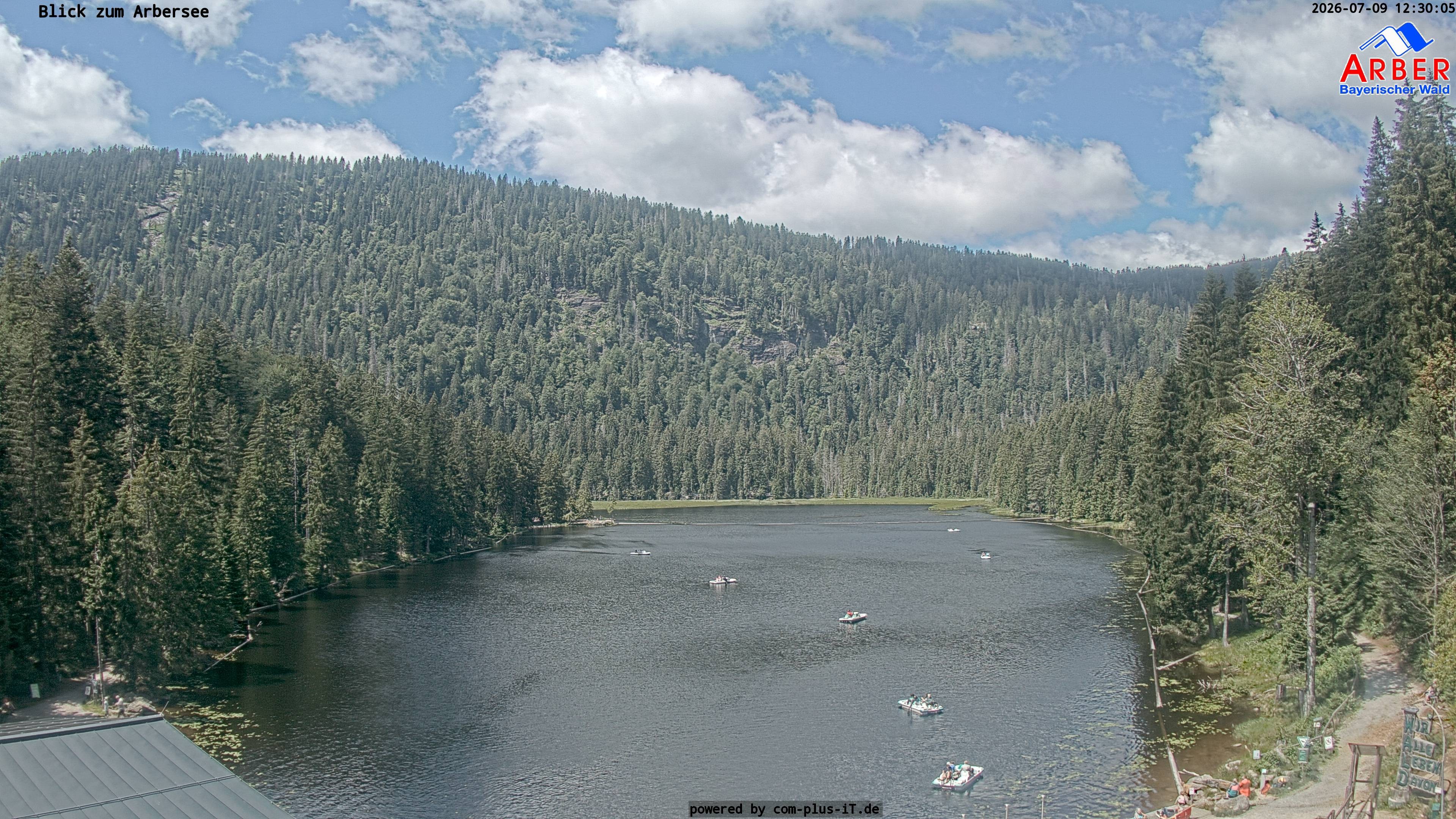 Archiv Foto Webcam Großer Arbersee - Bayerischer Wald