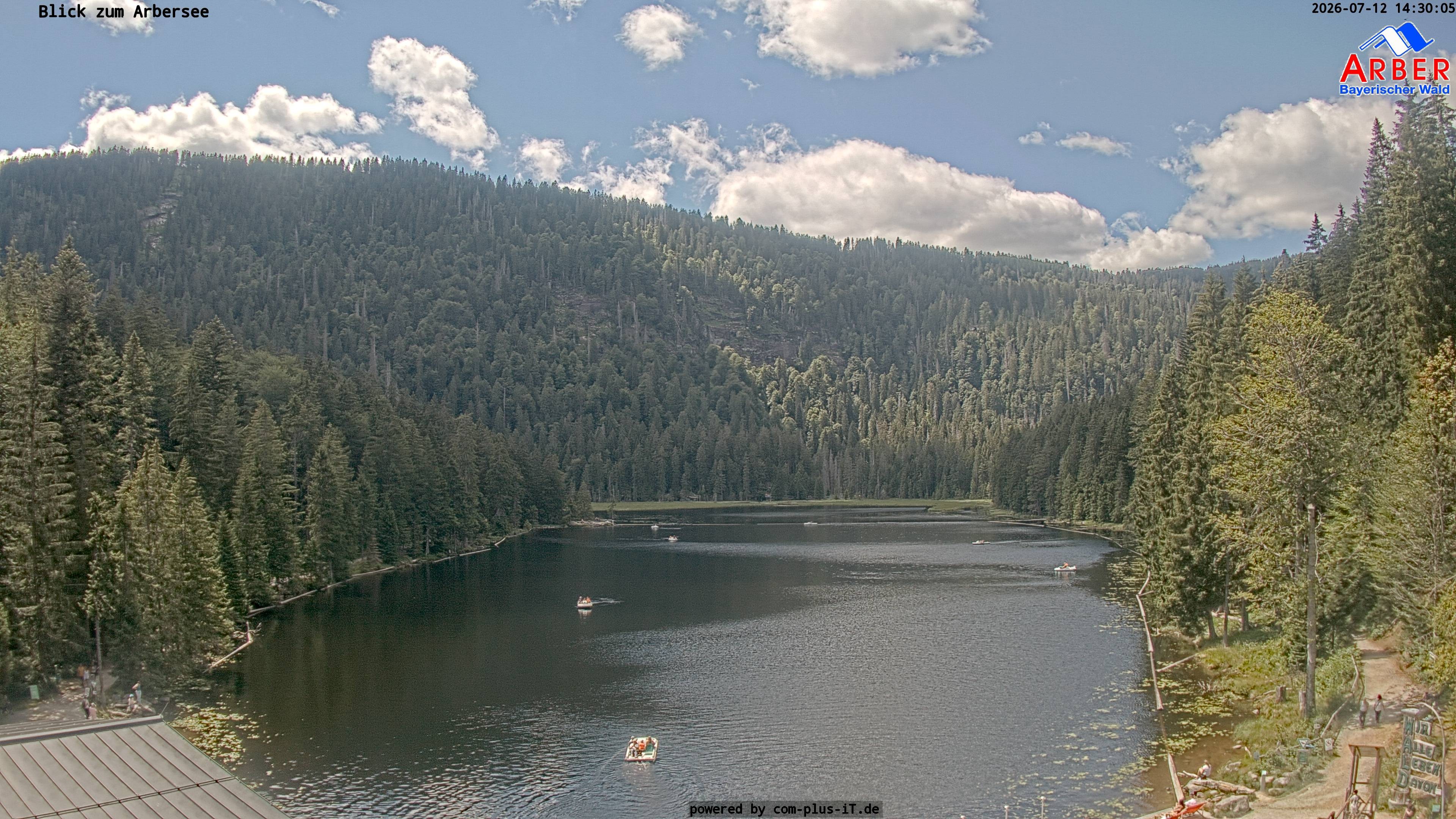 Archiv Foto Webcam Großer Arbersee - Bayerischer Wald