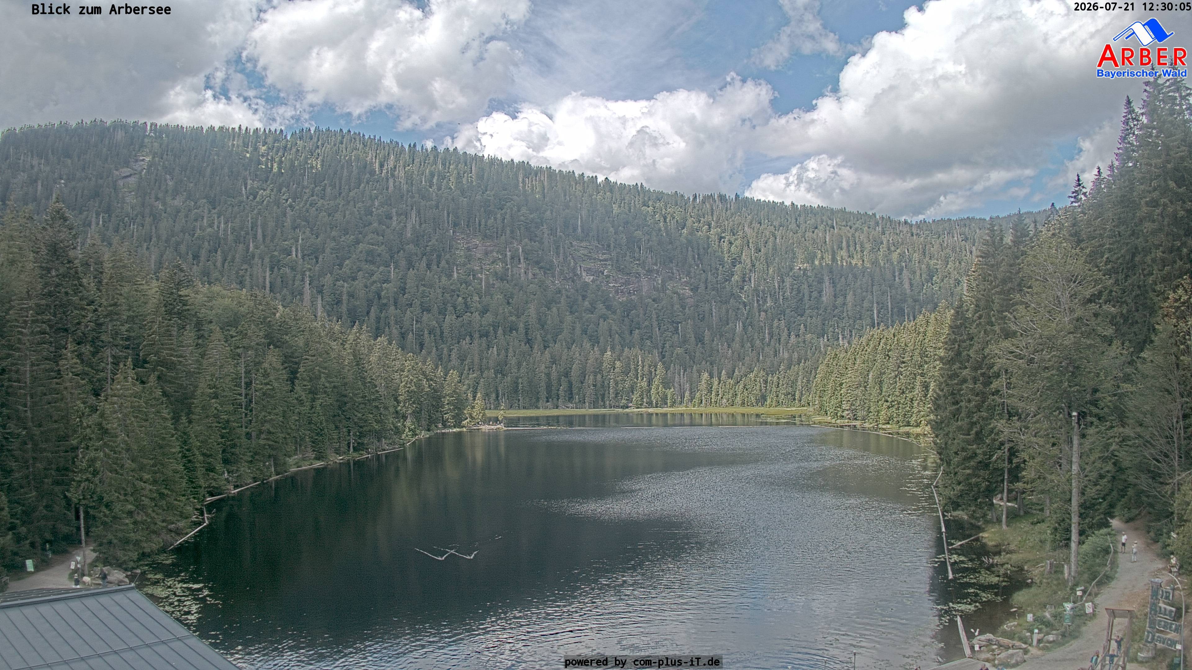 Archiv Foto Webcam Großer Arbersee - Bayerischer Wald