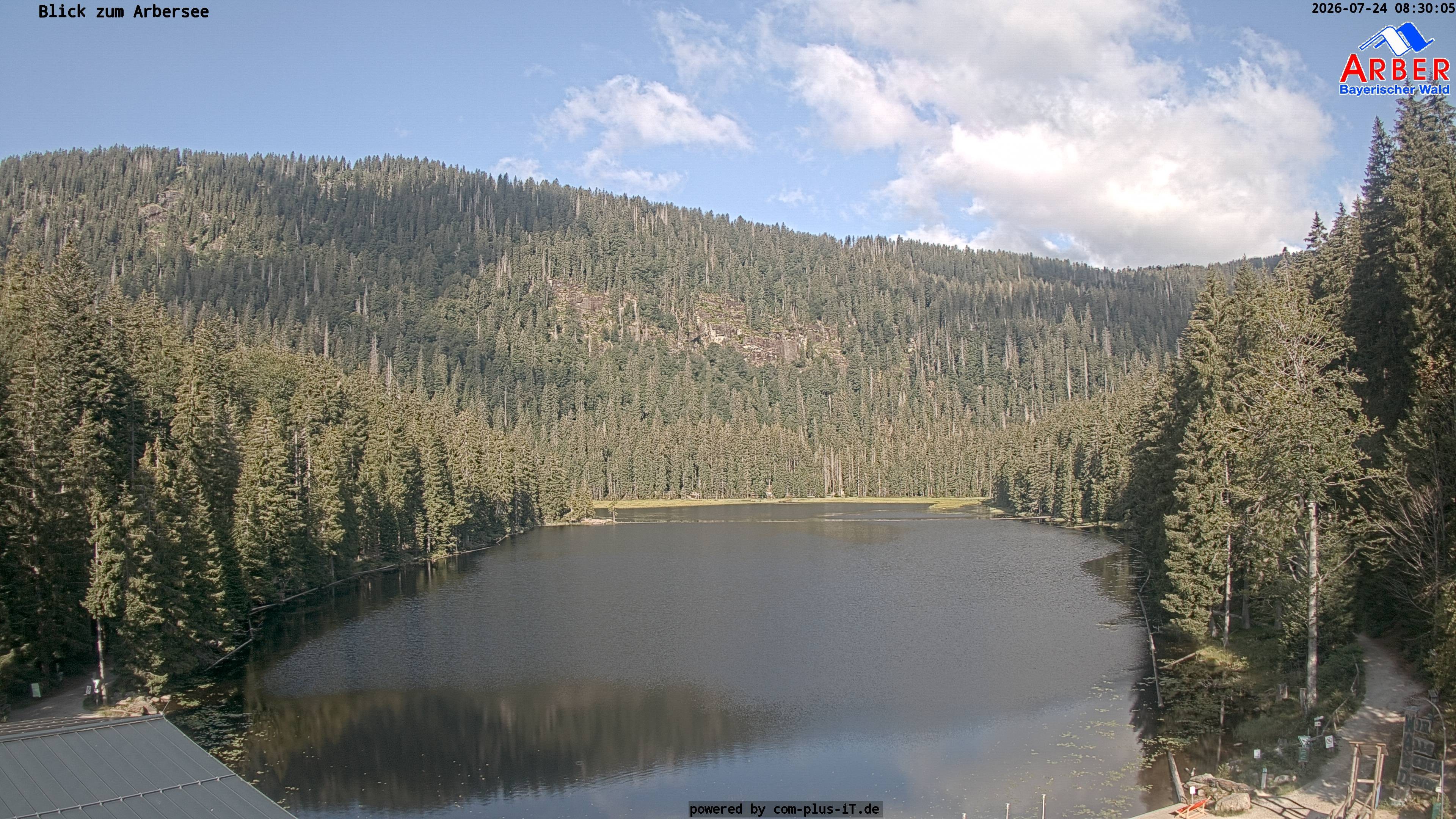 Archiv Foto Webcam Großer Arbersee - Bayerischer Wald