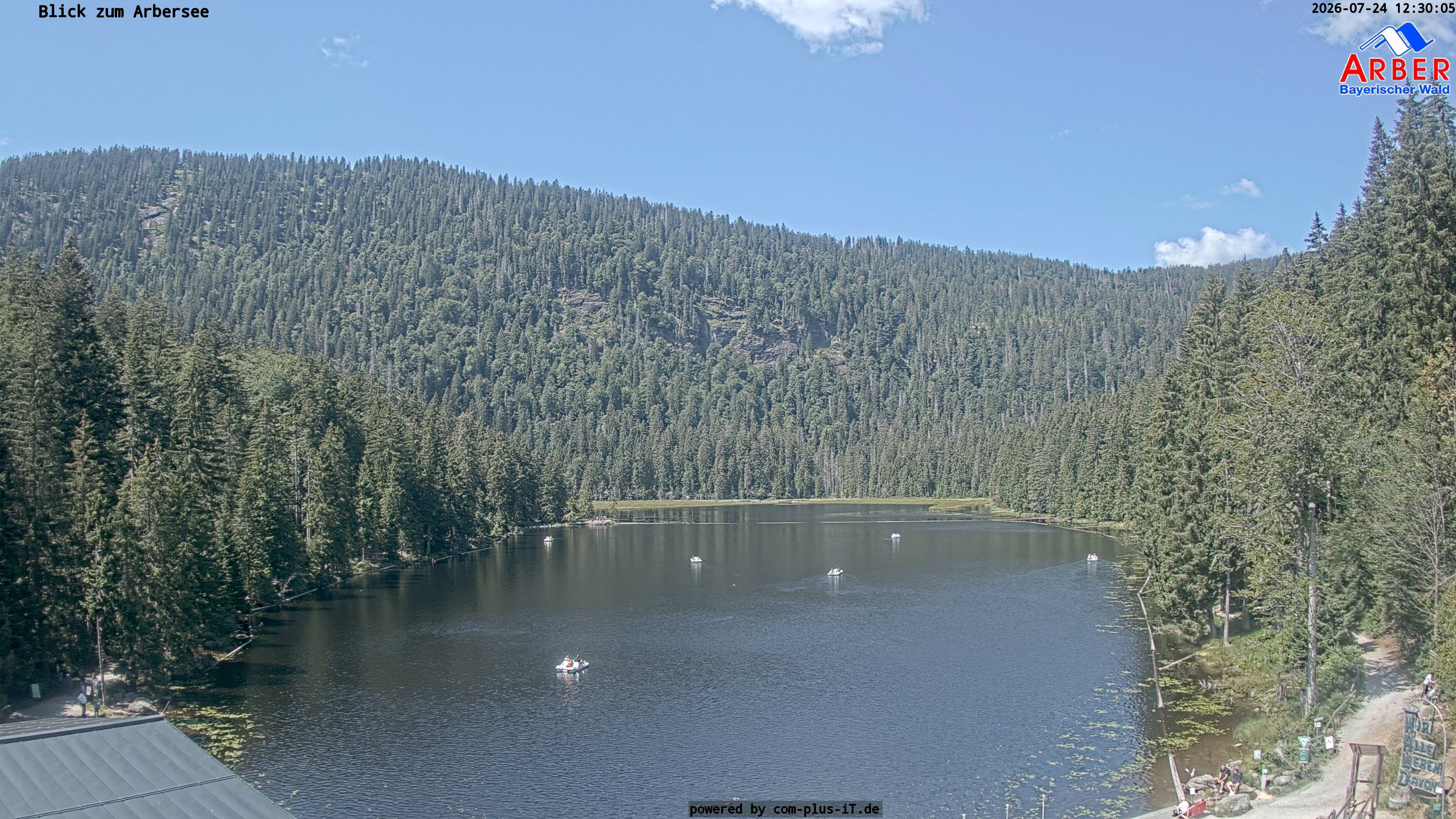 Archiv Foto Webcam Großer Arbersee - Bayerischer Wald