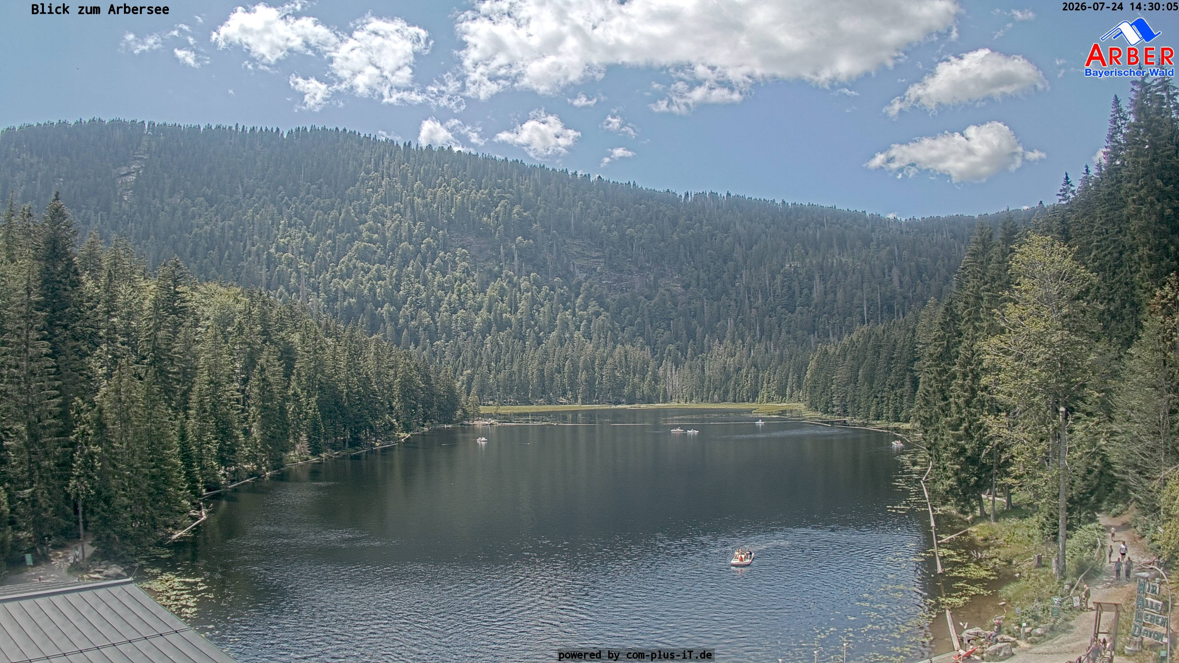 Archiv Foto Webcam Großer Arbersee - Bayerischer Wald