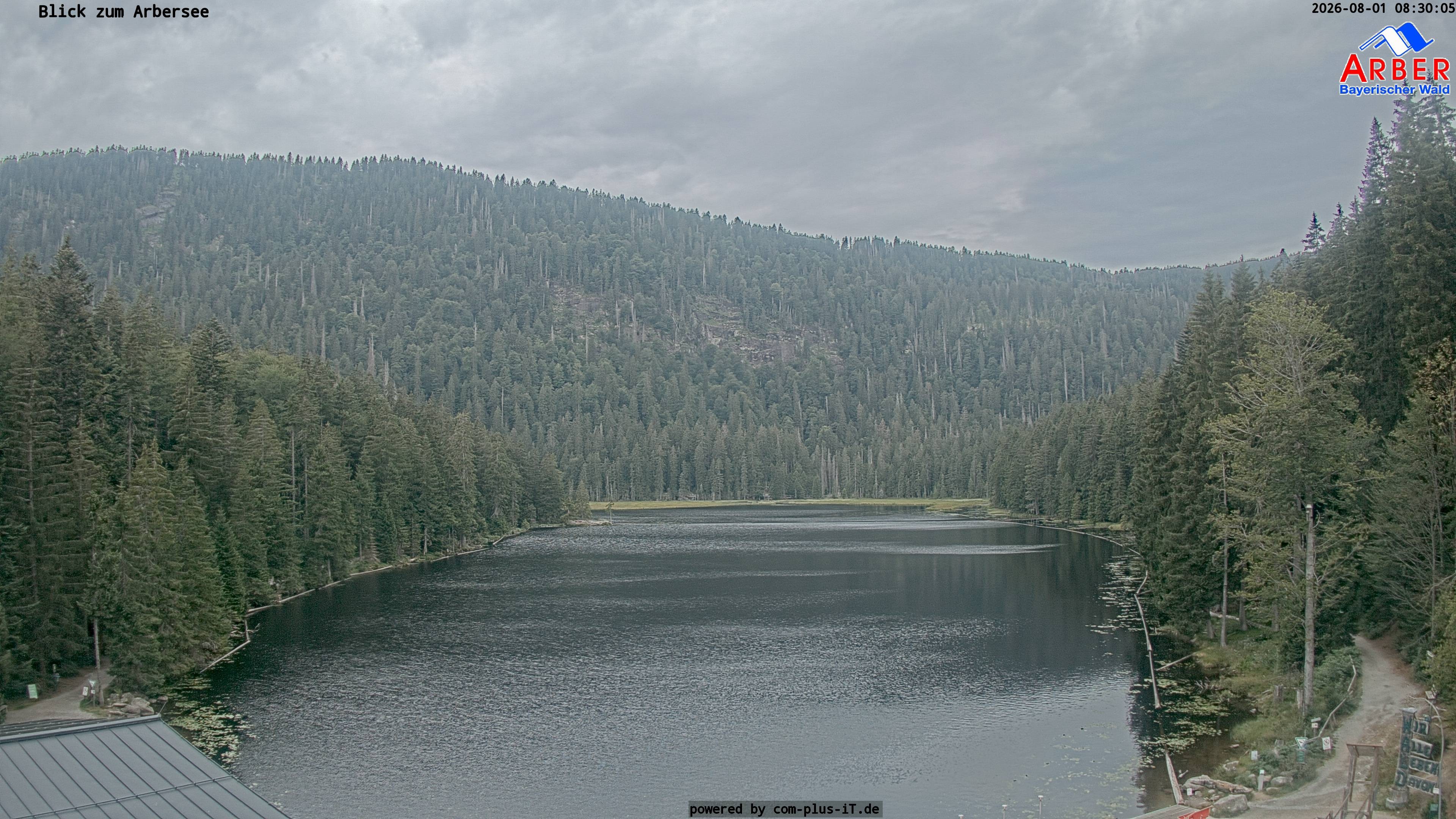 Archiv Foto Webcam Großer Arbersee - Bayerischer Wald