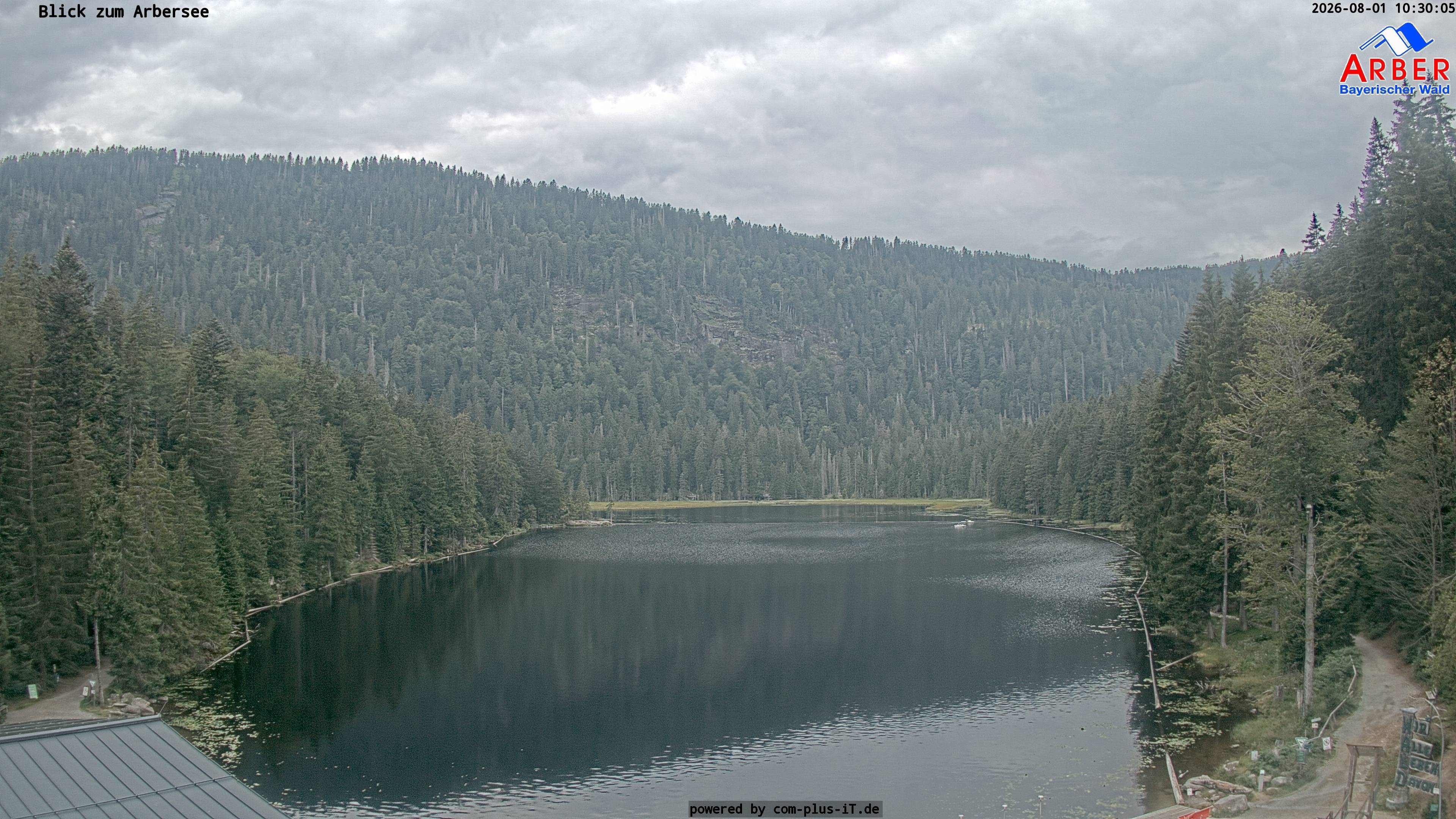 Archiv Foto Webcam Großer Arbersee - Bayerischer Wald