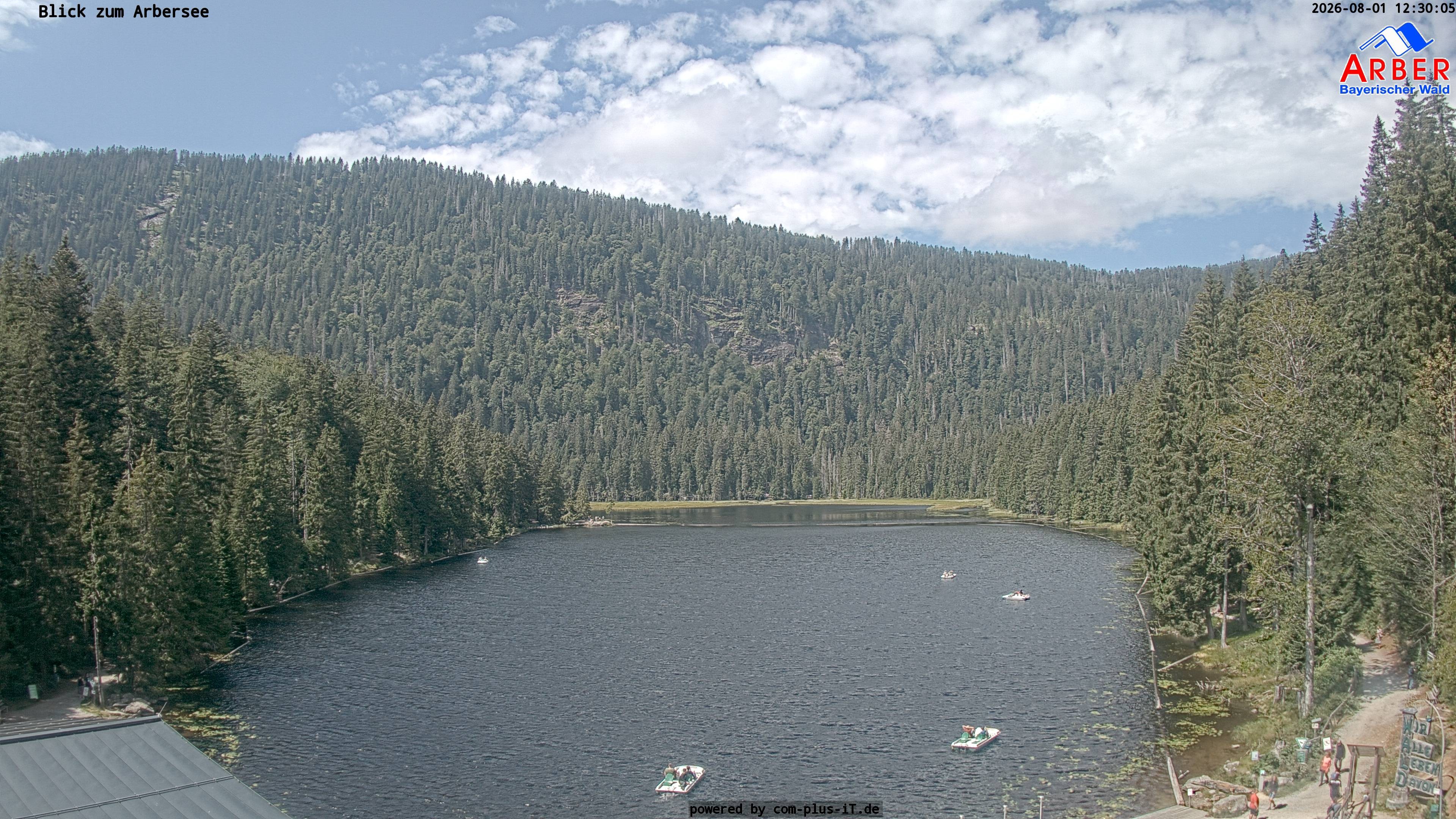 Archiv Foto Webcam Großer Arbersee - Bayerischer Wald