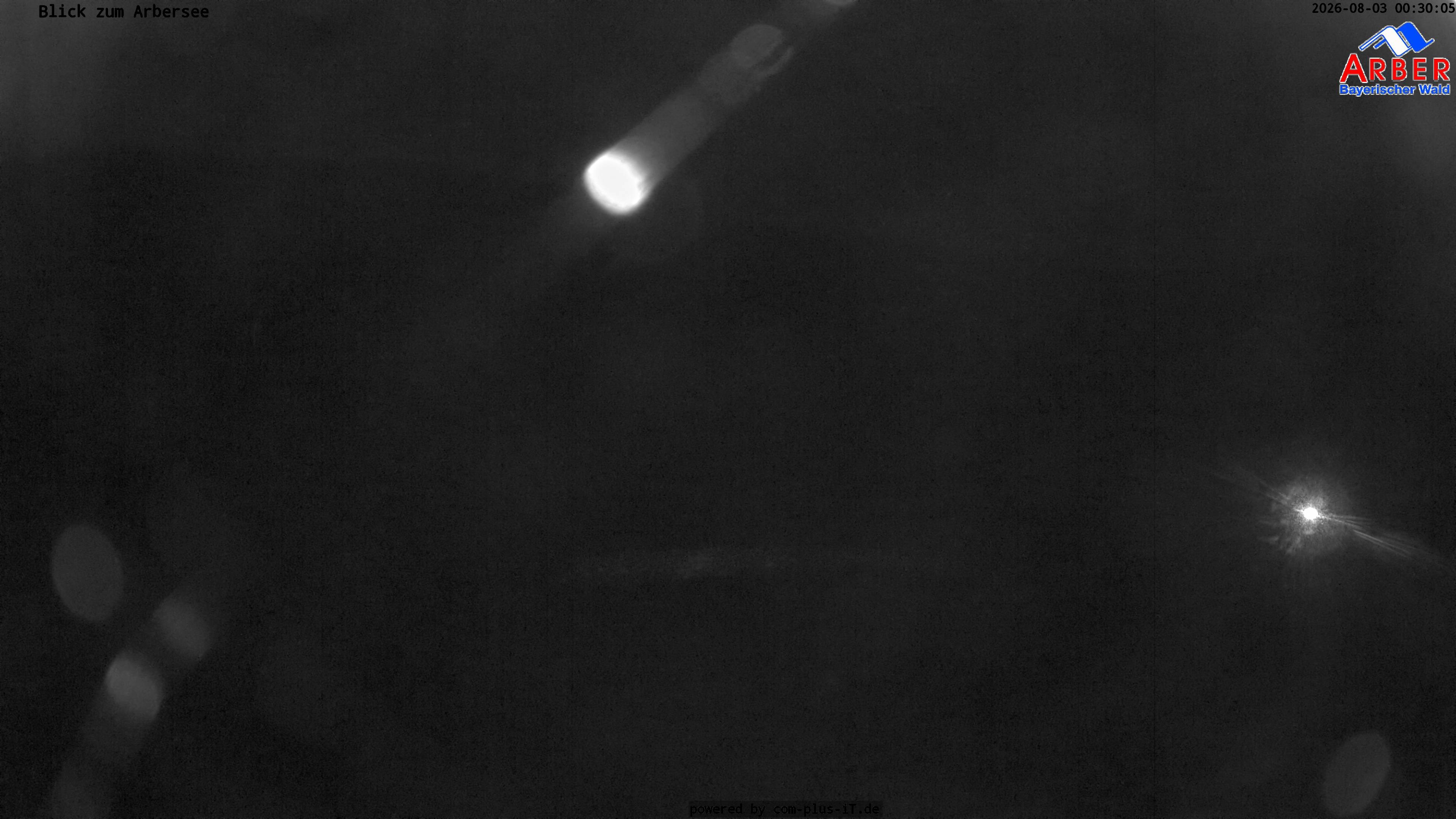 Archived image Webcam Lake "Großer Arbersee" (Bavarian Forest)