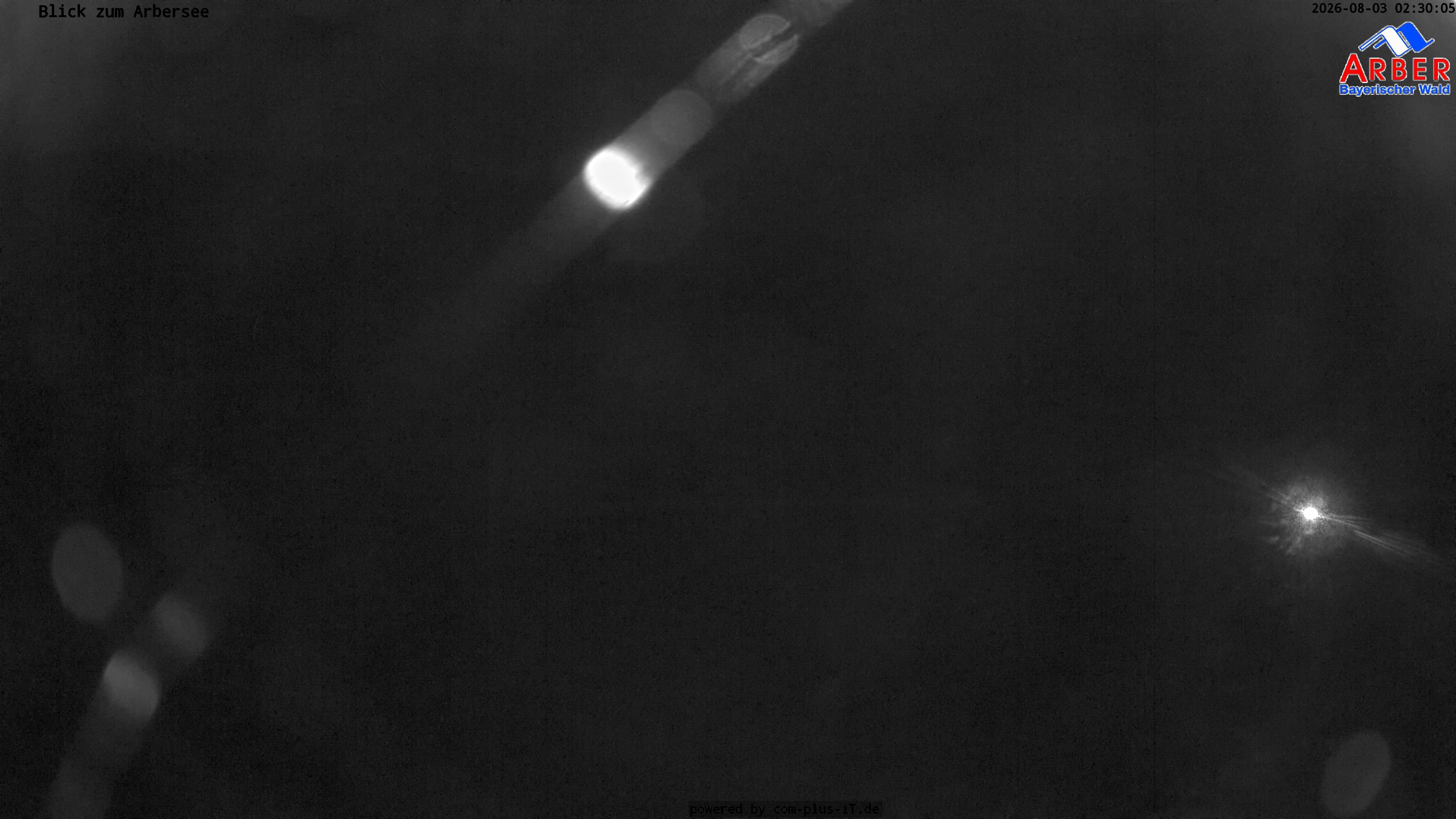 Archived image Webcam Lake "Großer Arbersee" (Bavarian Forest)