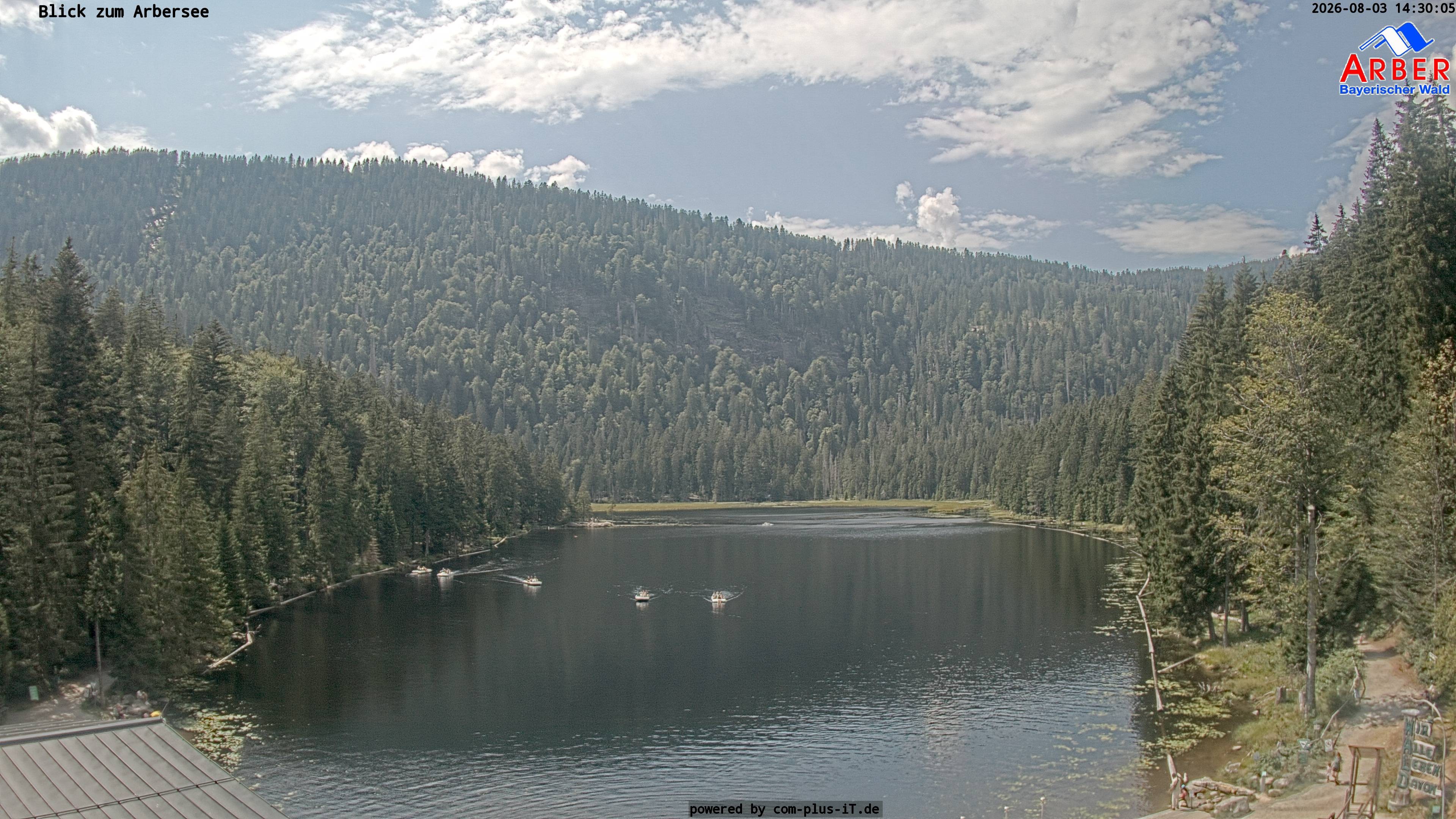 Archiv Foto Webcam Großer Arbersee - Bayerischer Wald