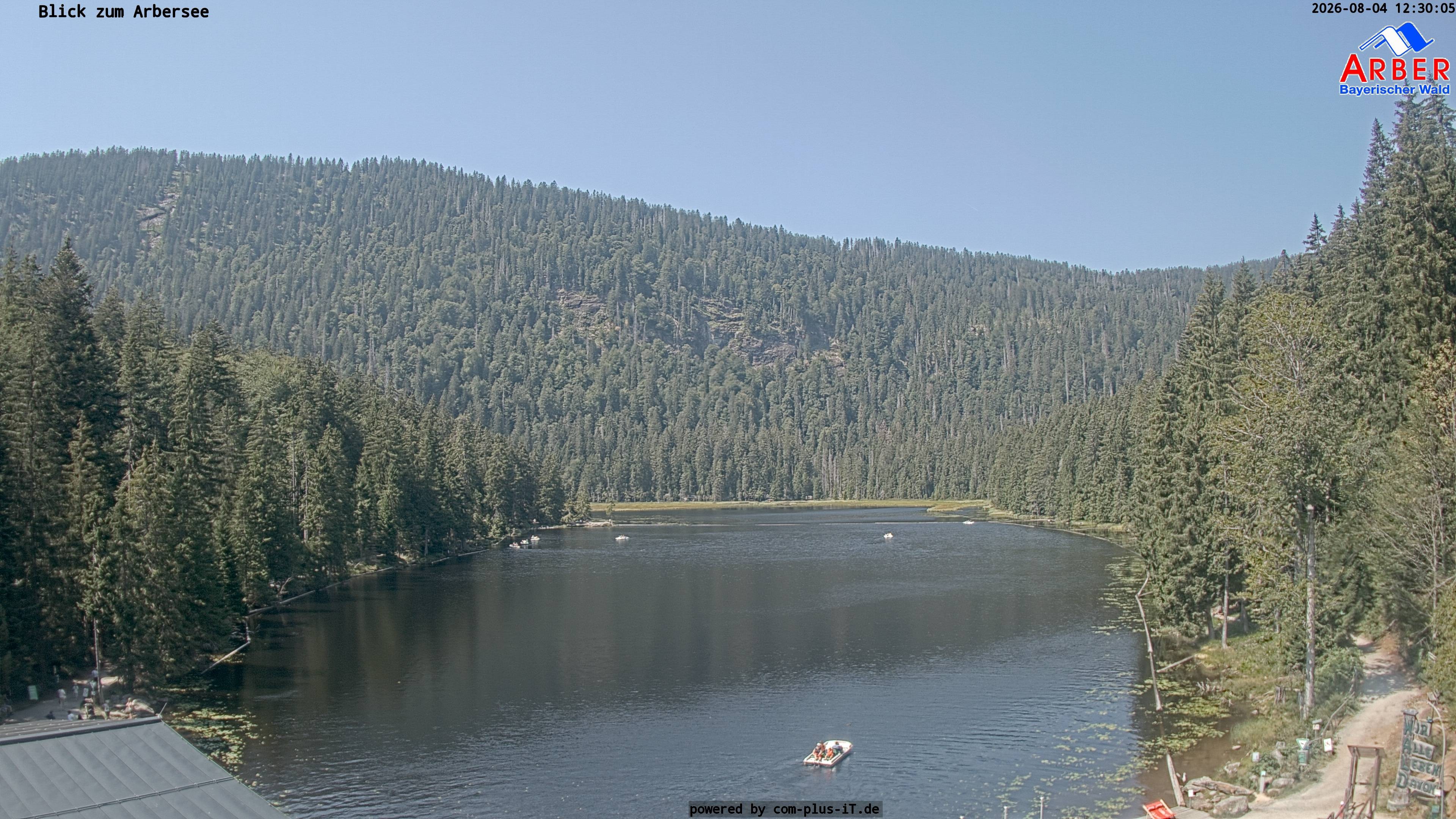 Archiv Foto Webcam Großer Arbersee - Bayerischer Wald