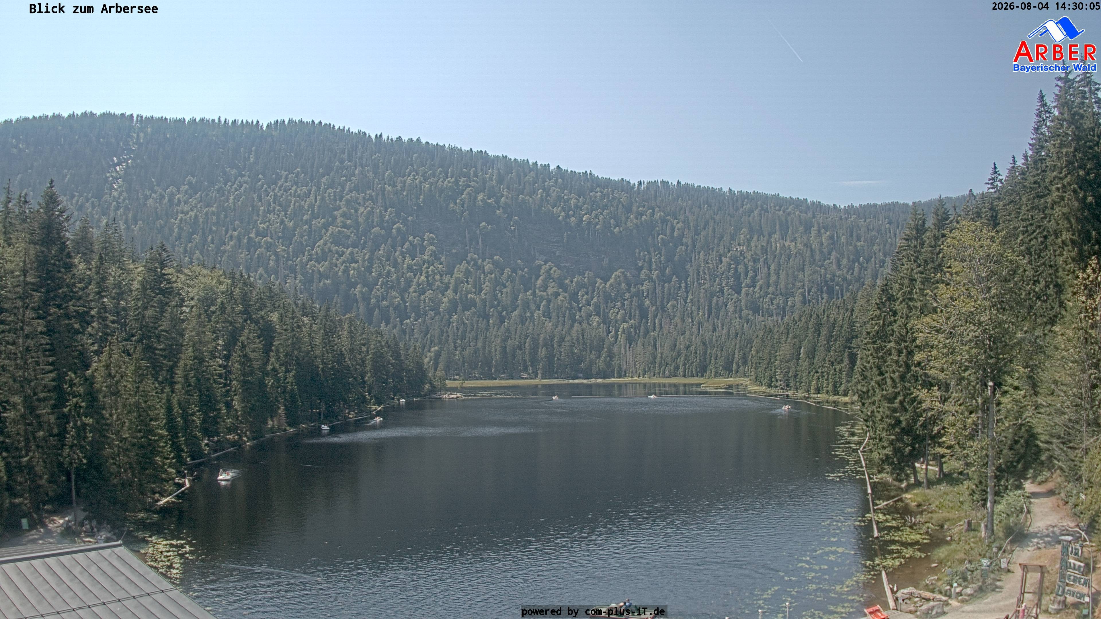 Archiv Foto Webcam Großer Arbersee - Bayerischer Wald
