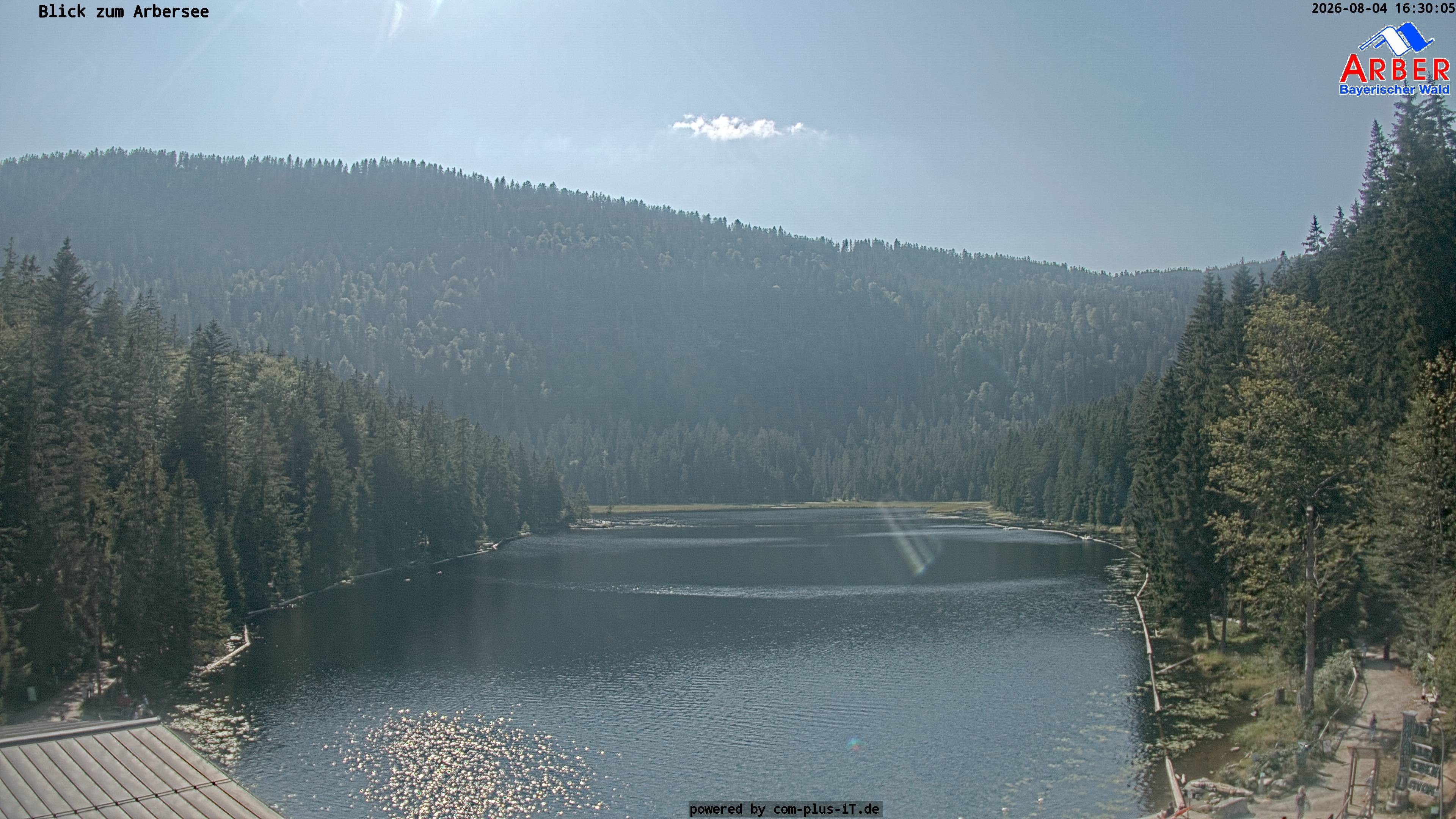 Archiv Foto Webcam Großer Arbersee - Bayerischer Wald