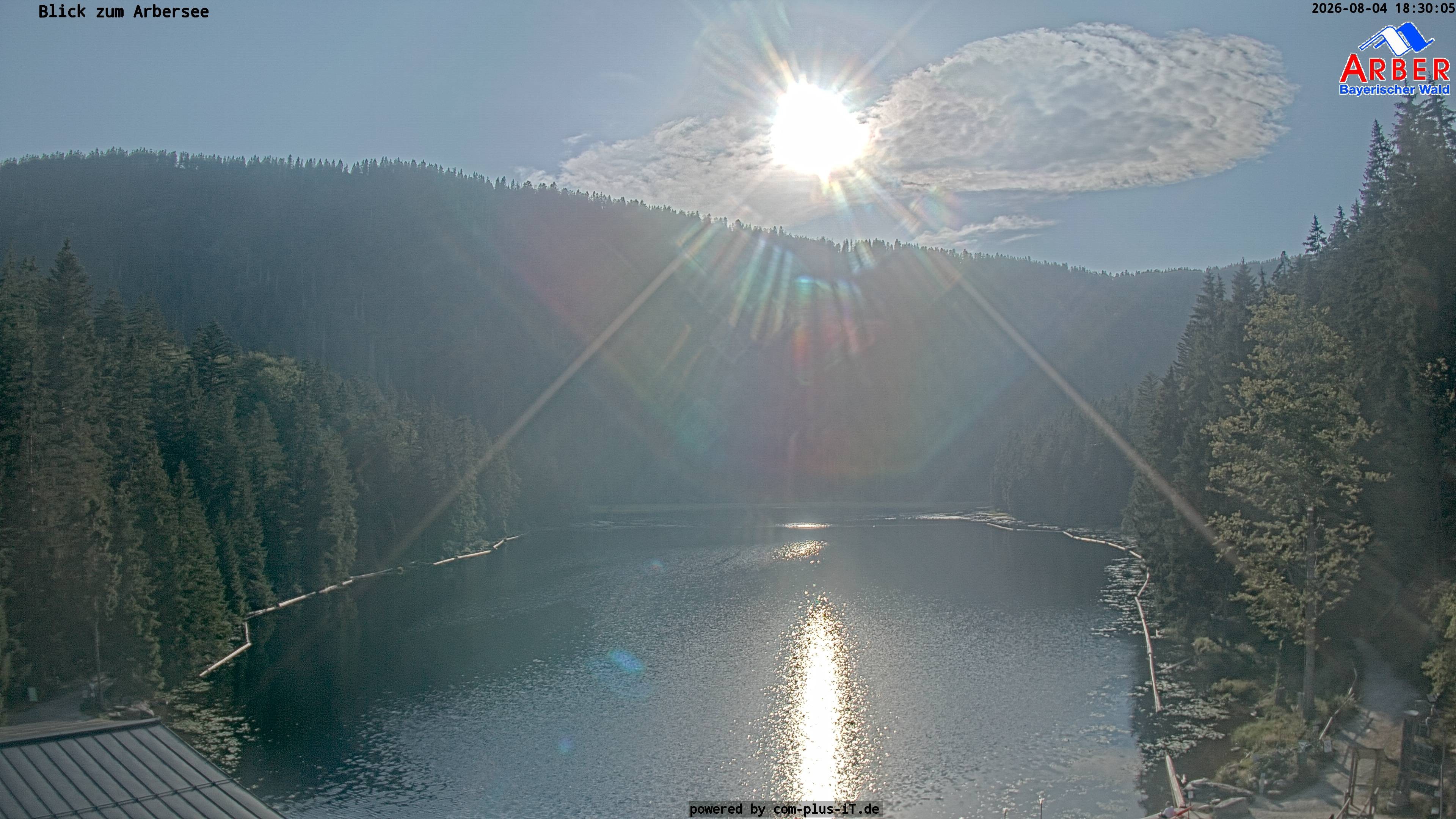 Archiv Foto Webcam Großer Arbersee - Bayerischer Wald