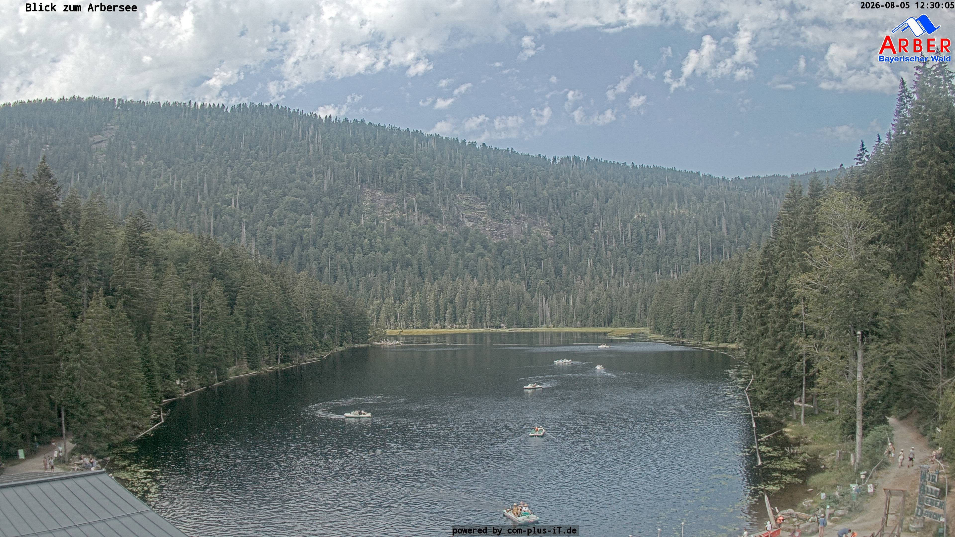 Archiv Foto Webcam Großer Arbersee - Bayerischer Wald