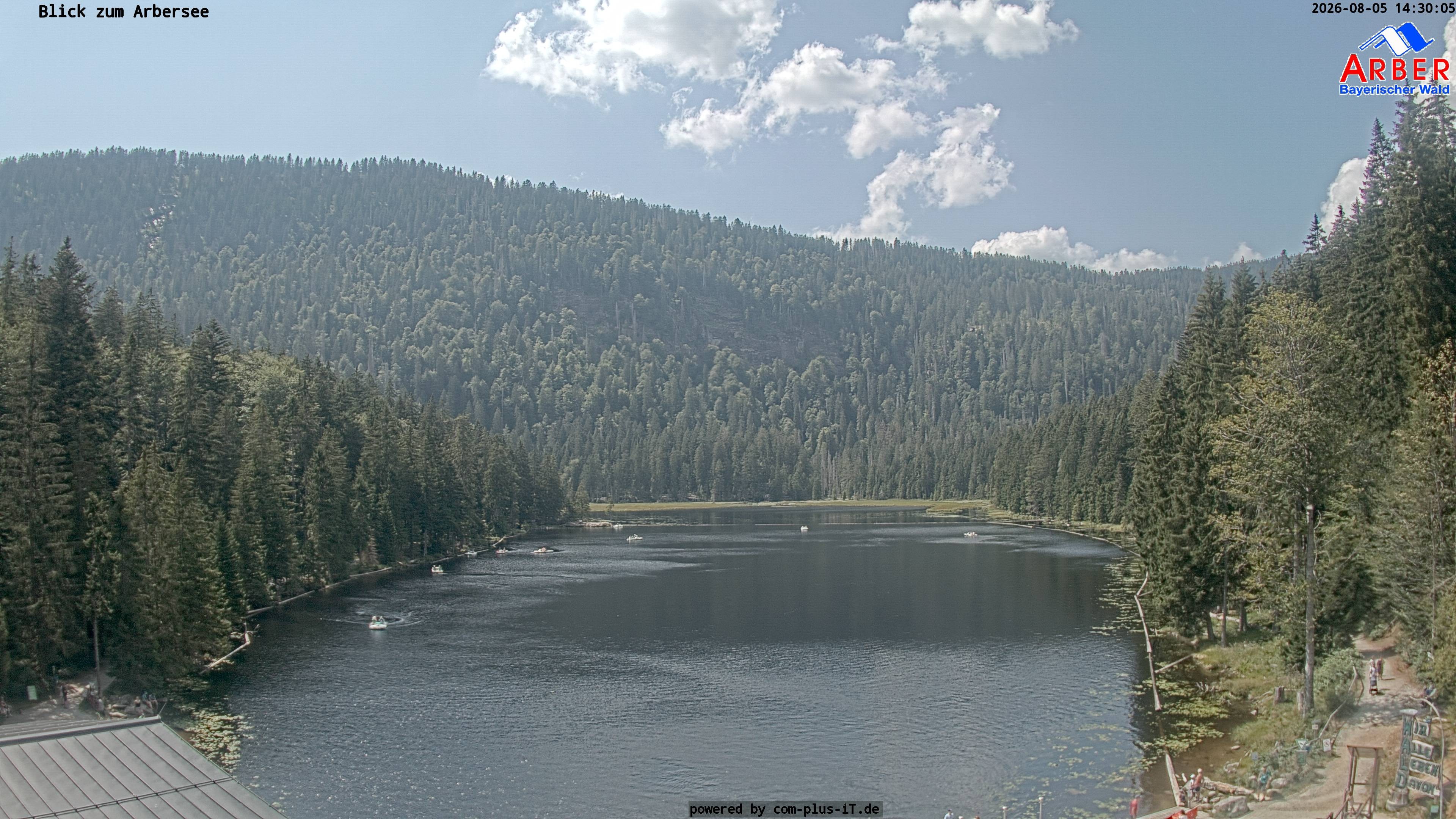Archiv Foto Webcam Großer Arbersee - Bayerischer Wald