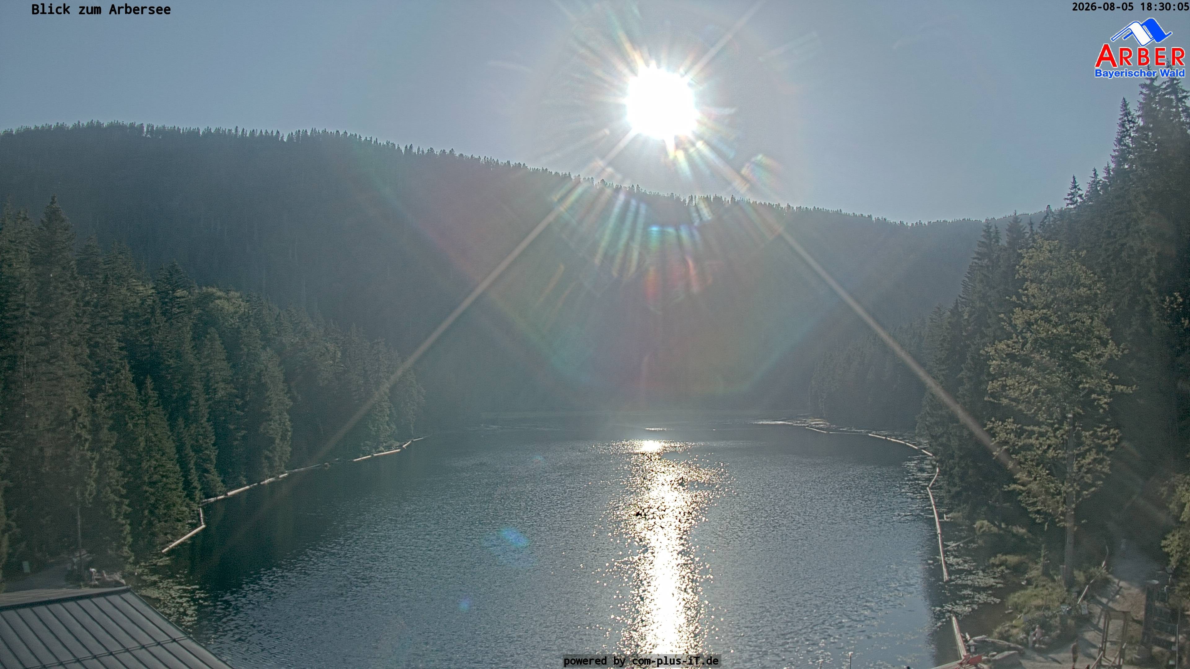 Archiv Foto Webcam Großer Arbersee - Bayerischer Wald