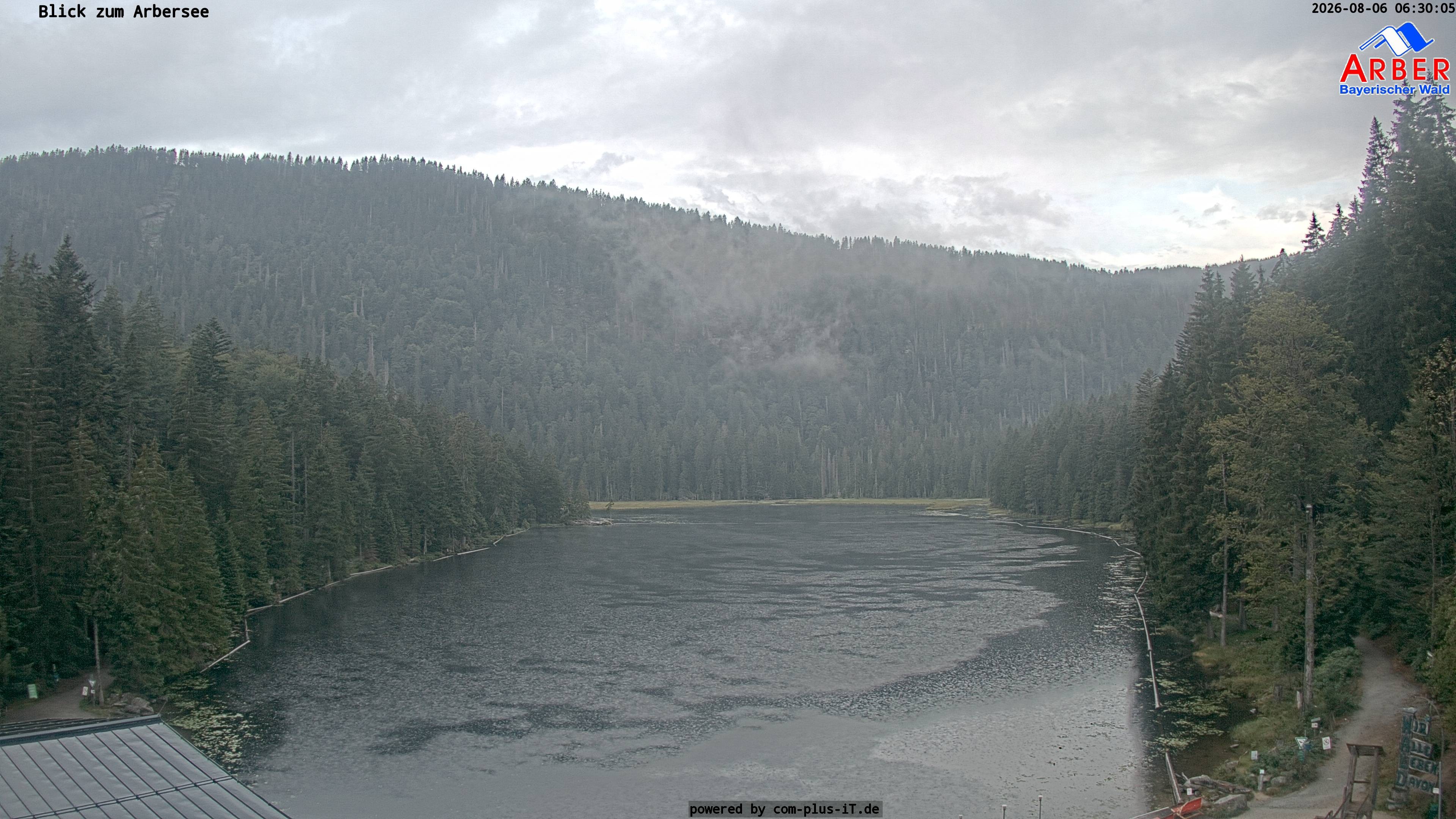 Archiv Foto Webcam Großer Arbersee - Bayerischer Wald