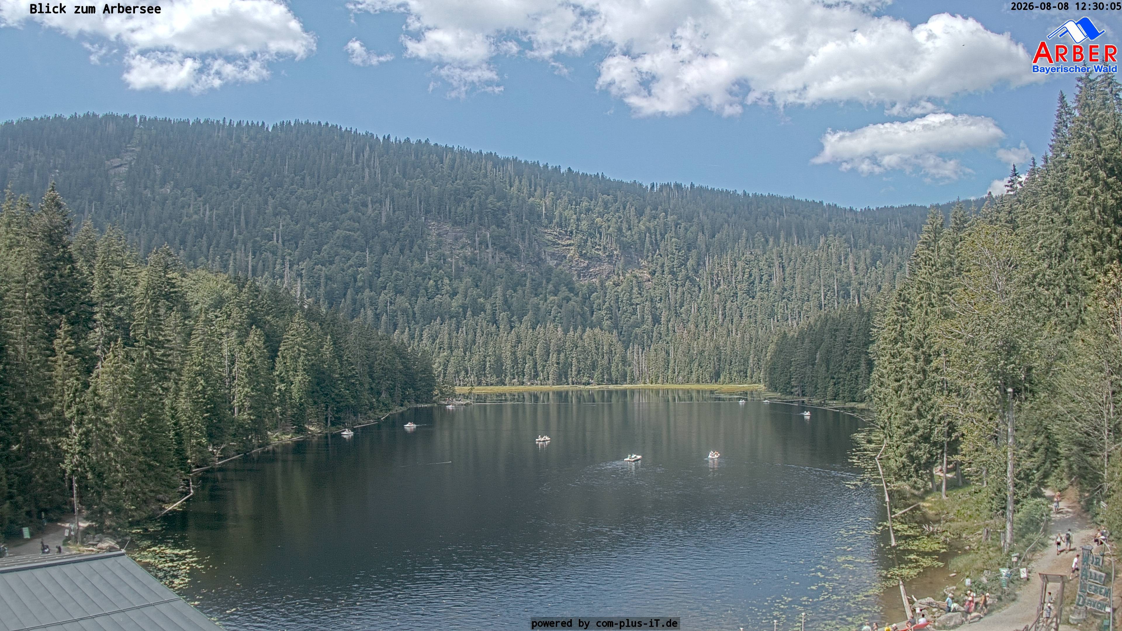 Archiv Foto Webcam Großer Arbersee - Bayerischer Wald