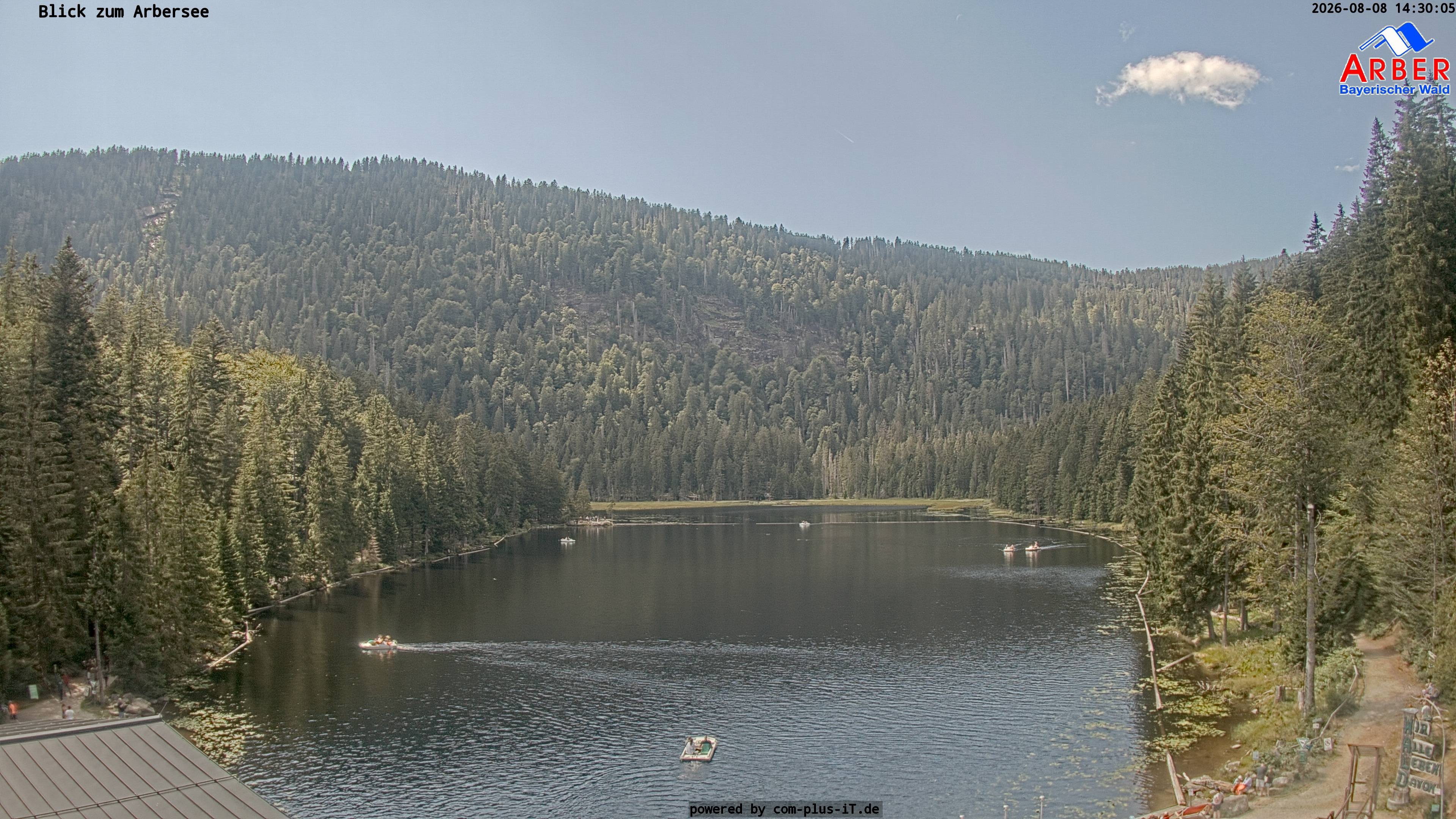 Archiv Foto Webcam Großer Arbersee - Bayerischer Wald