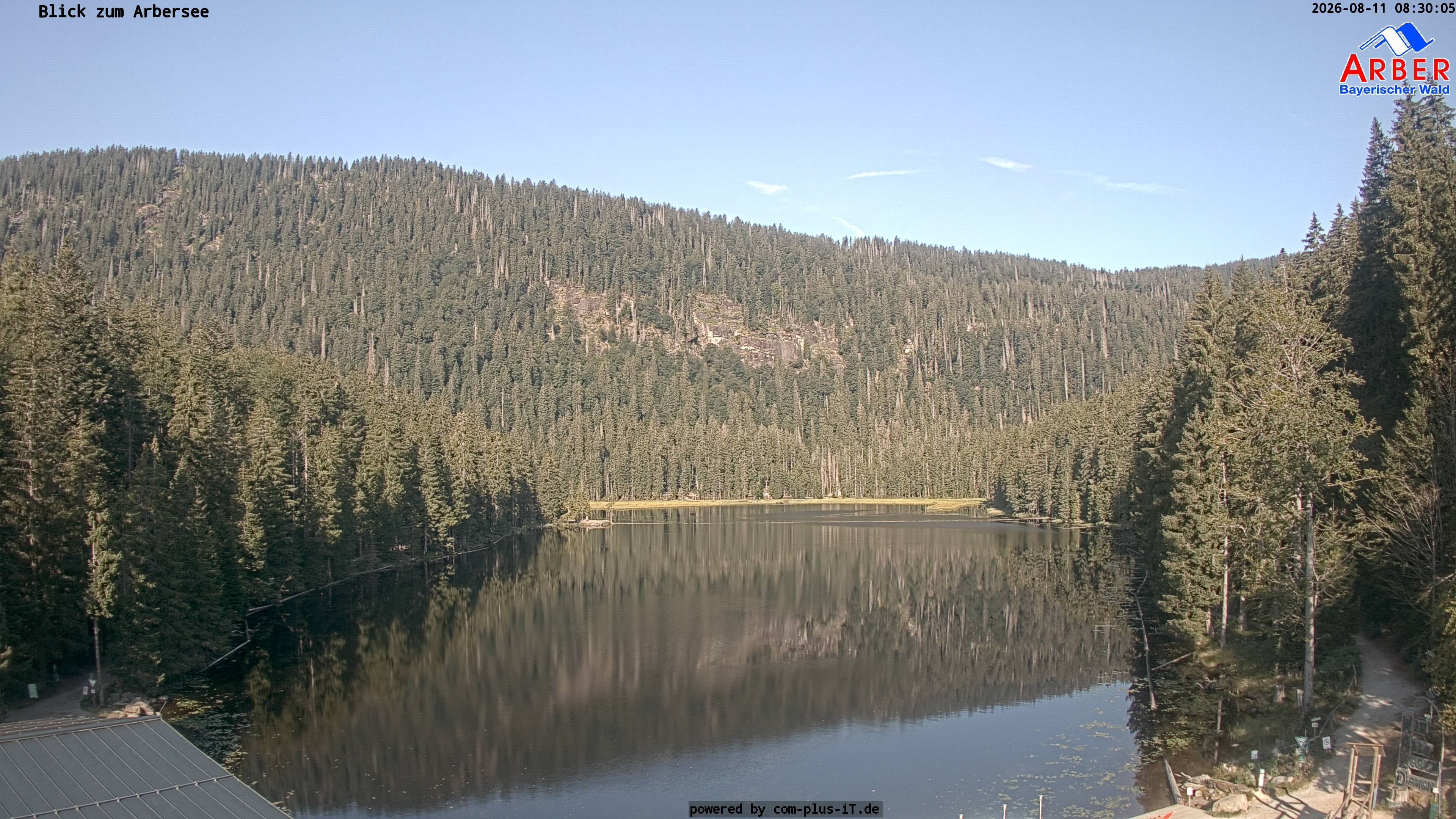 Archiv Foto Webcam Großer Arbersee - Bayerischer Wald