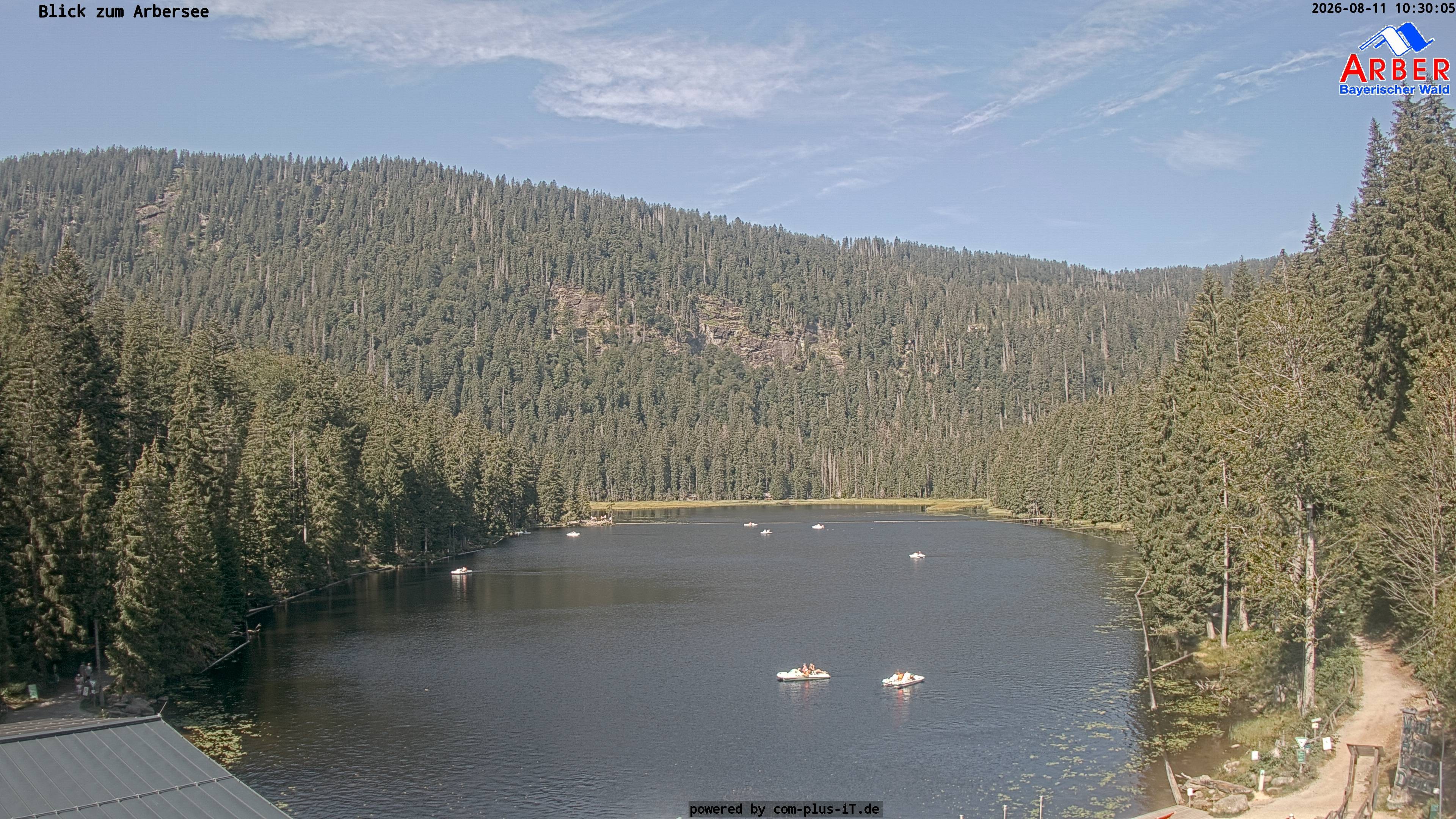 Archiv Foto Webcam Großer Arbersee - Bayerischer Wald