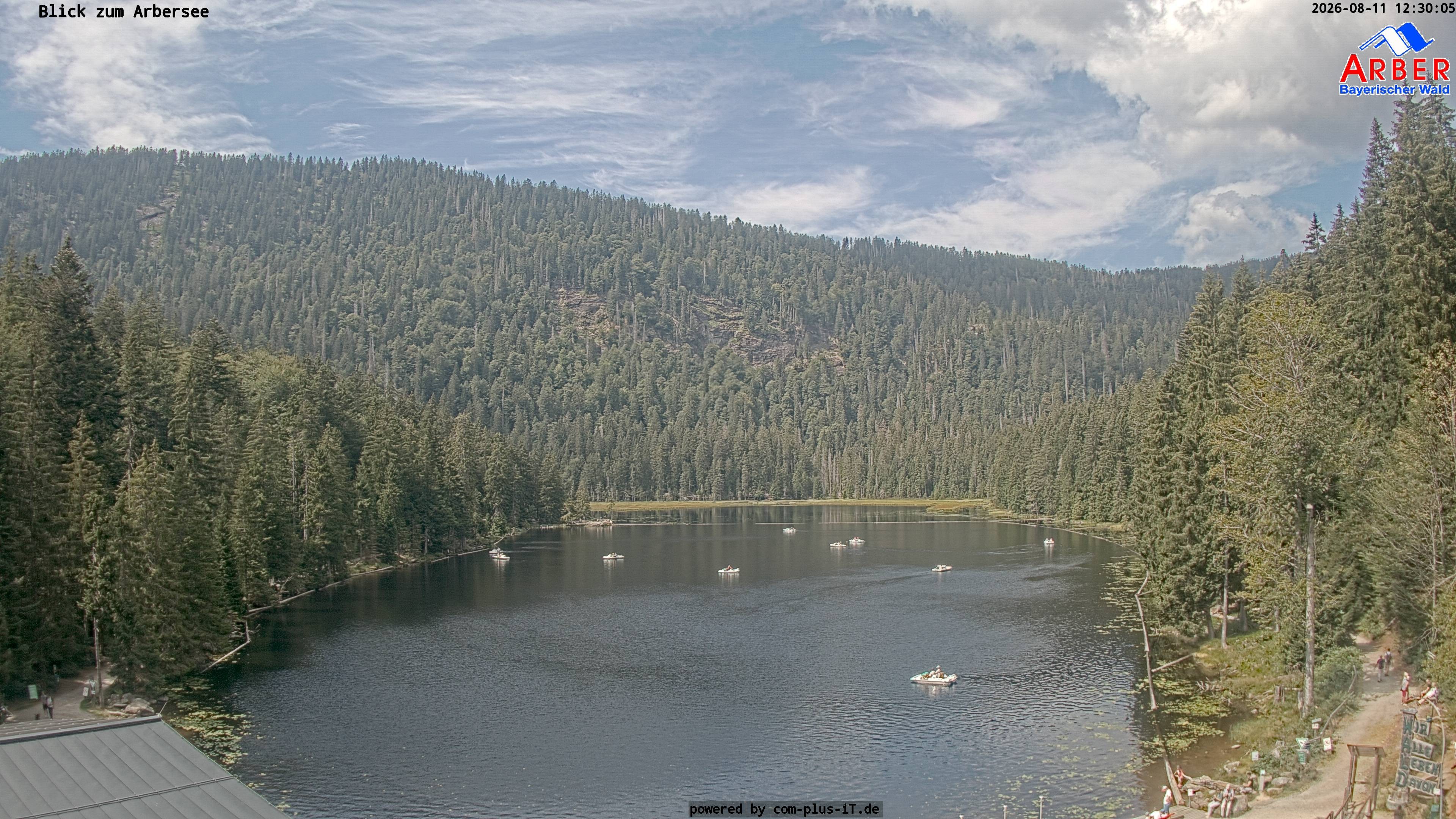 Archiv Foto Webcam Großer Arbersee - Bayerischer Wald