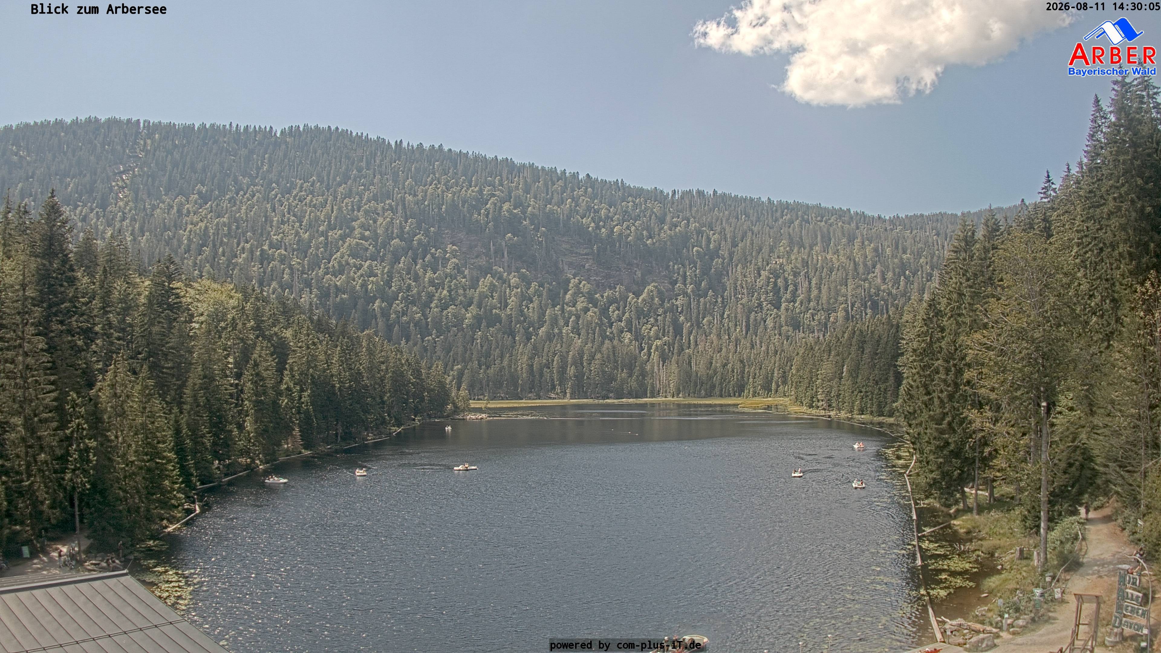 Archiv Foto Webcam Großer Arbersee - Bayerischer Wald