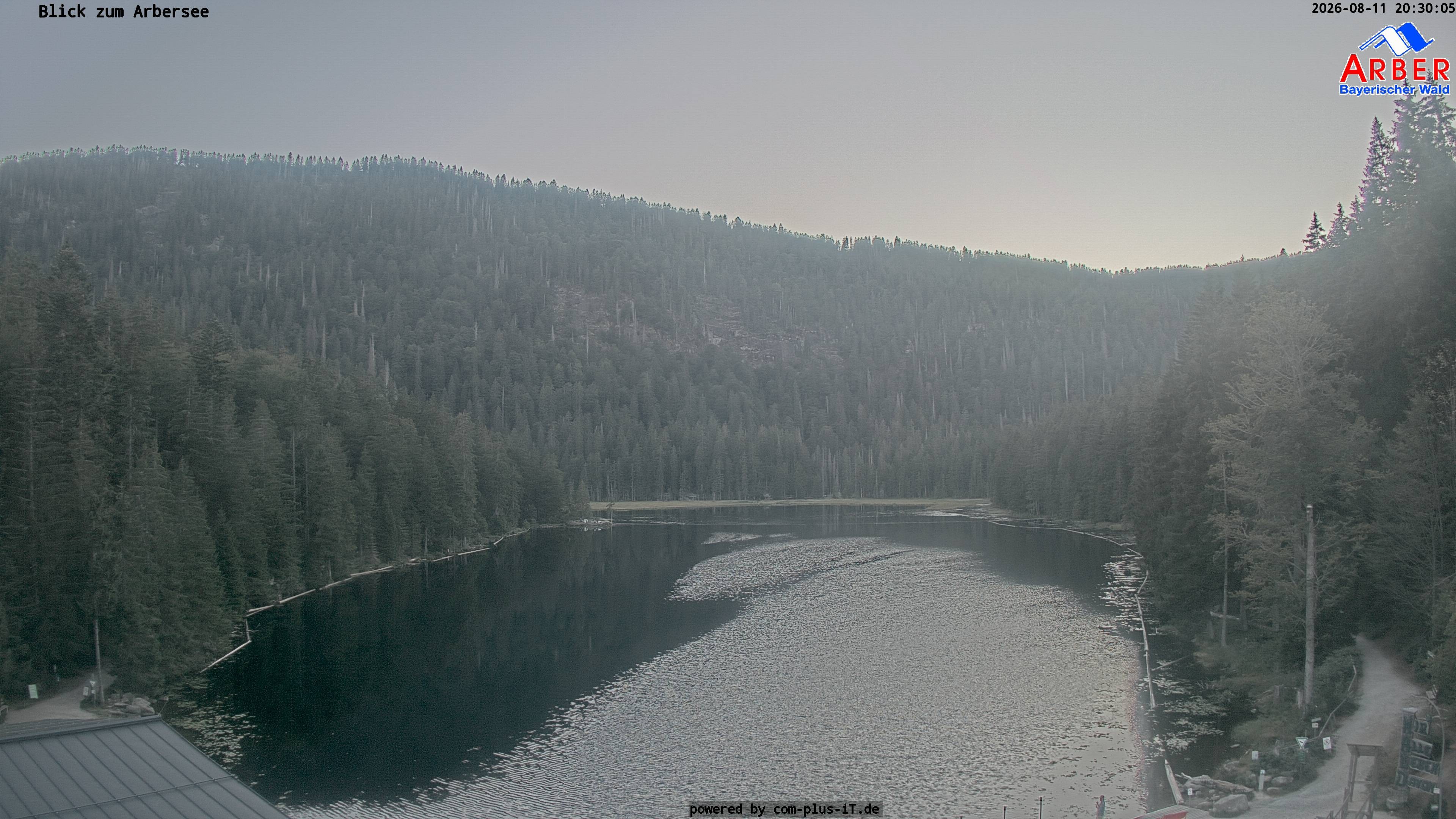 Archived image Webcam Lake "Großer Arbersee" (Bavarian Forest)