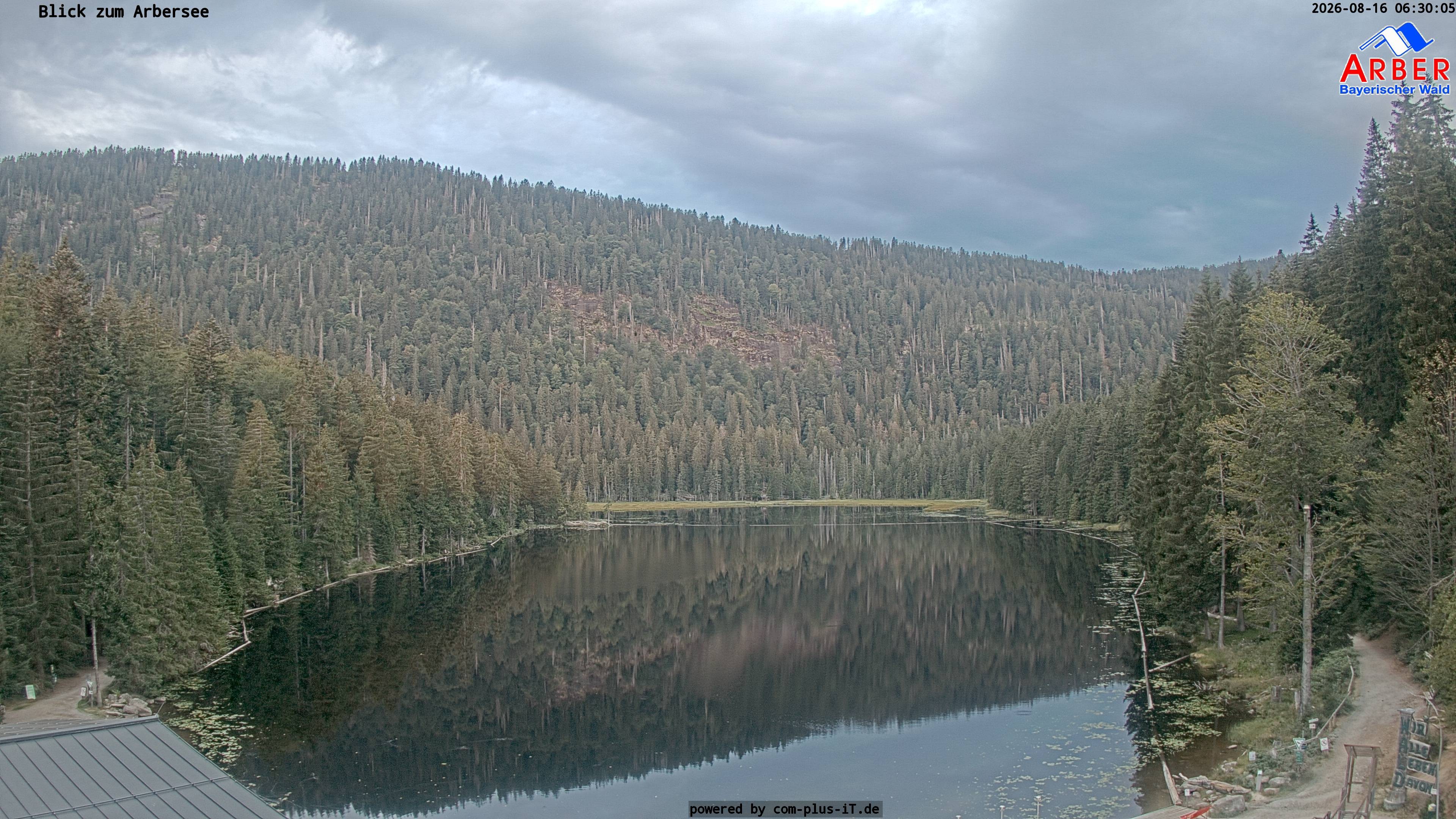 Archiv Foto Webcam Großer Arbersee - Bayerischer Wald
