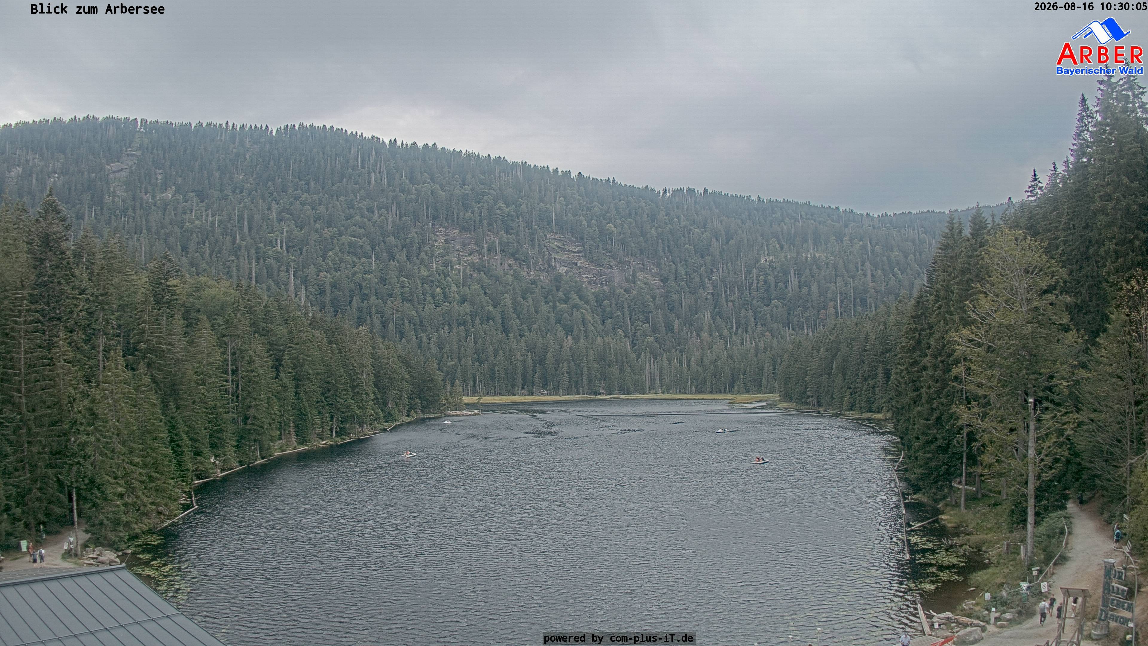 Archiv Foto Webcam Großer Arbersee - Bayerischer Wald