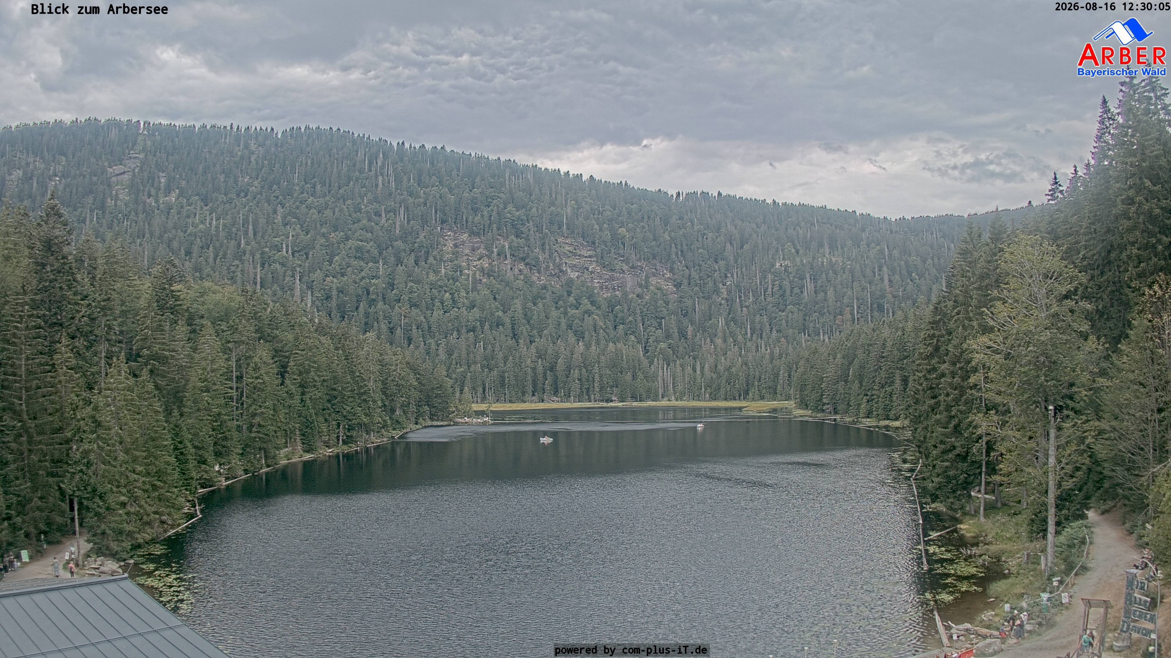 Archiv Foto Webcam Großer Arbersee - Bayerischer Wald