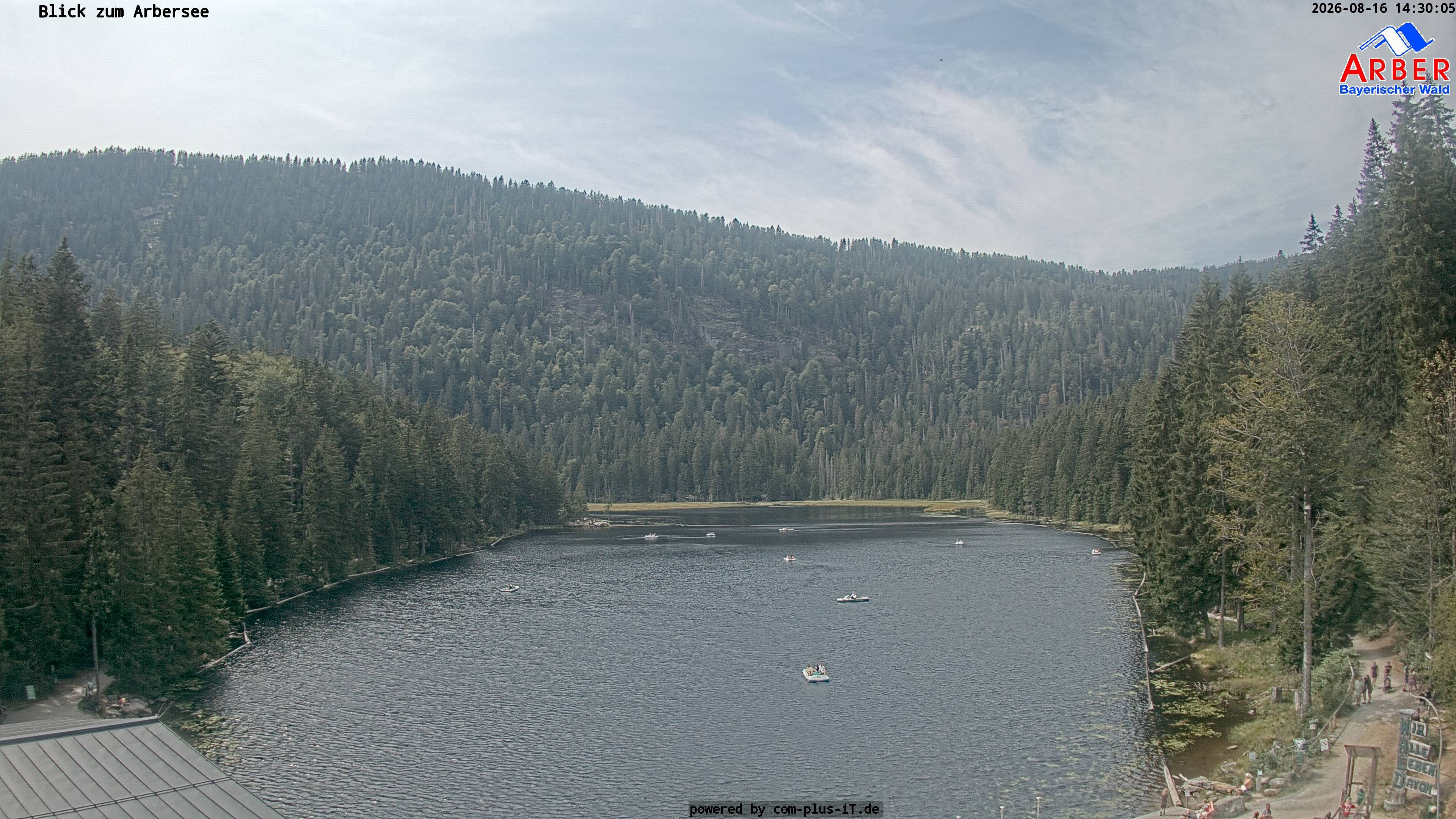 Archiv Foto Webcam Großer Arbersee - Bayerischer Wald