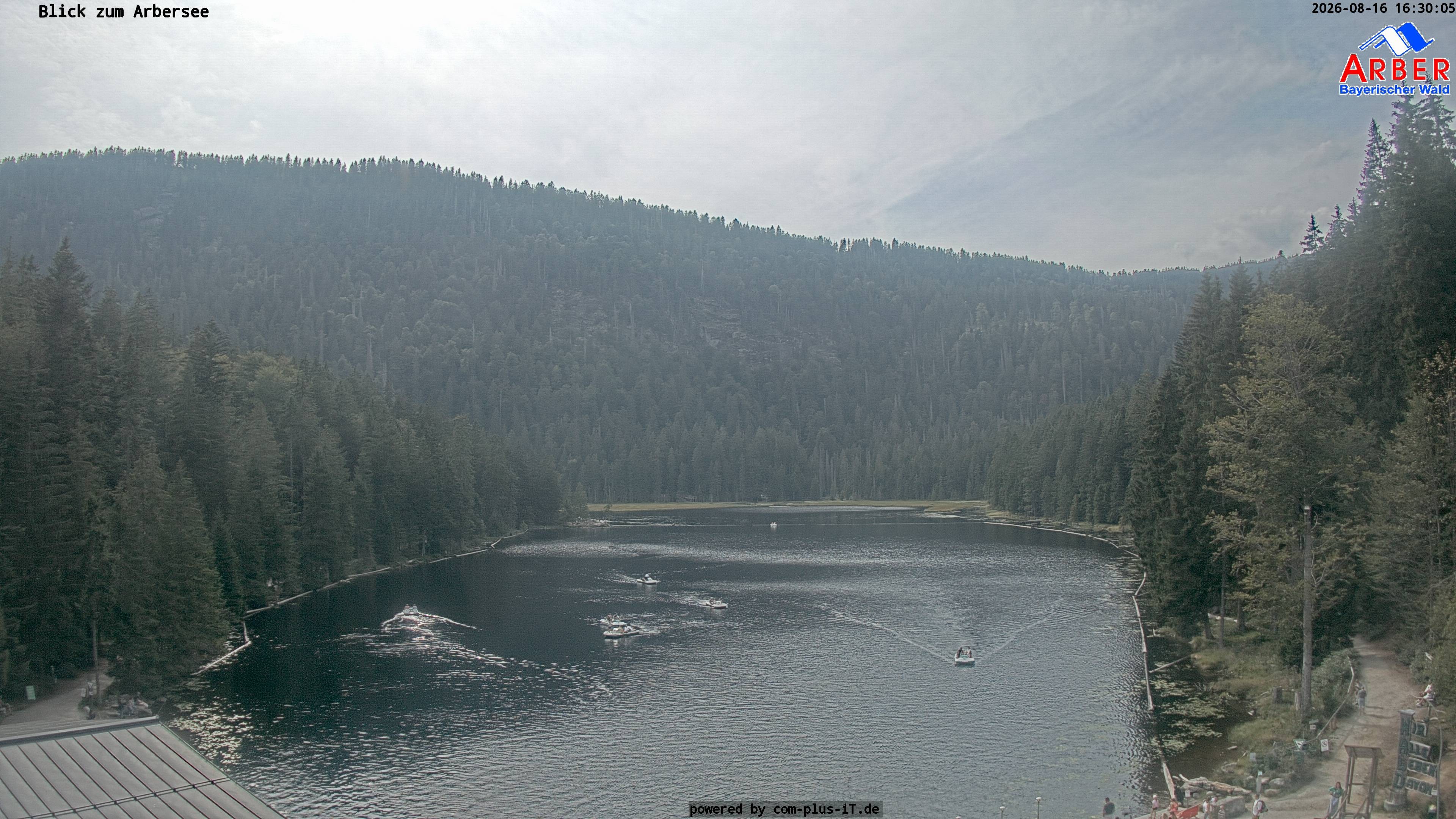 Archiv Foto Webcam Großer Arbersee - Bayerischer Wald