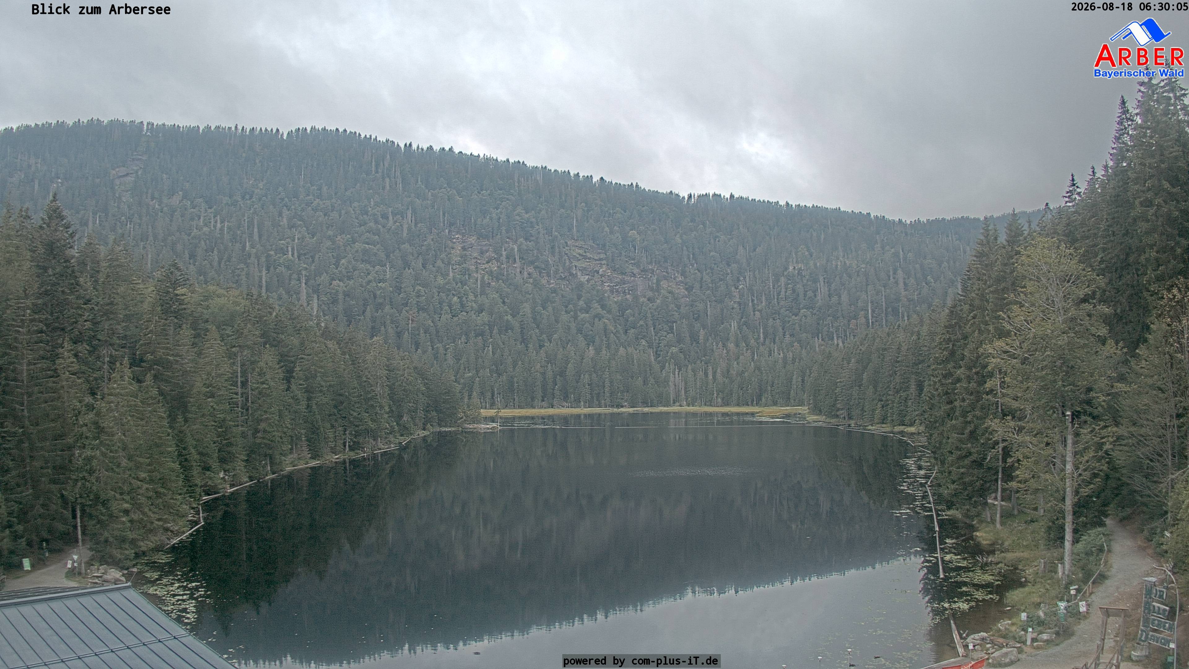 Archiv Foto Webcam Großer Arbersee - Bayerischer Wald