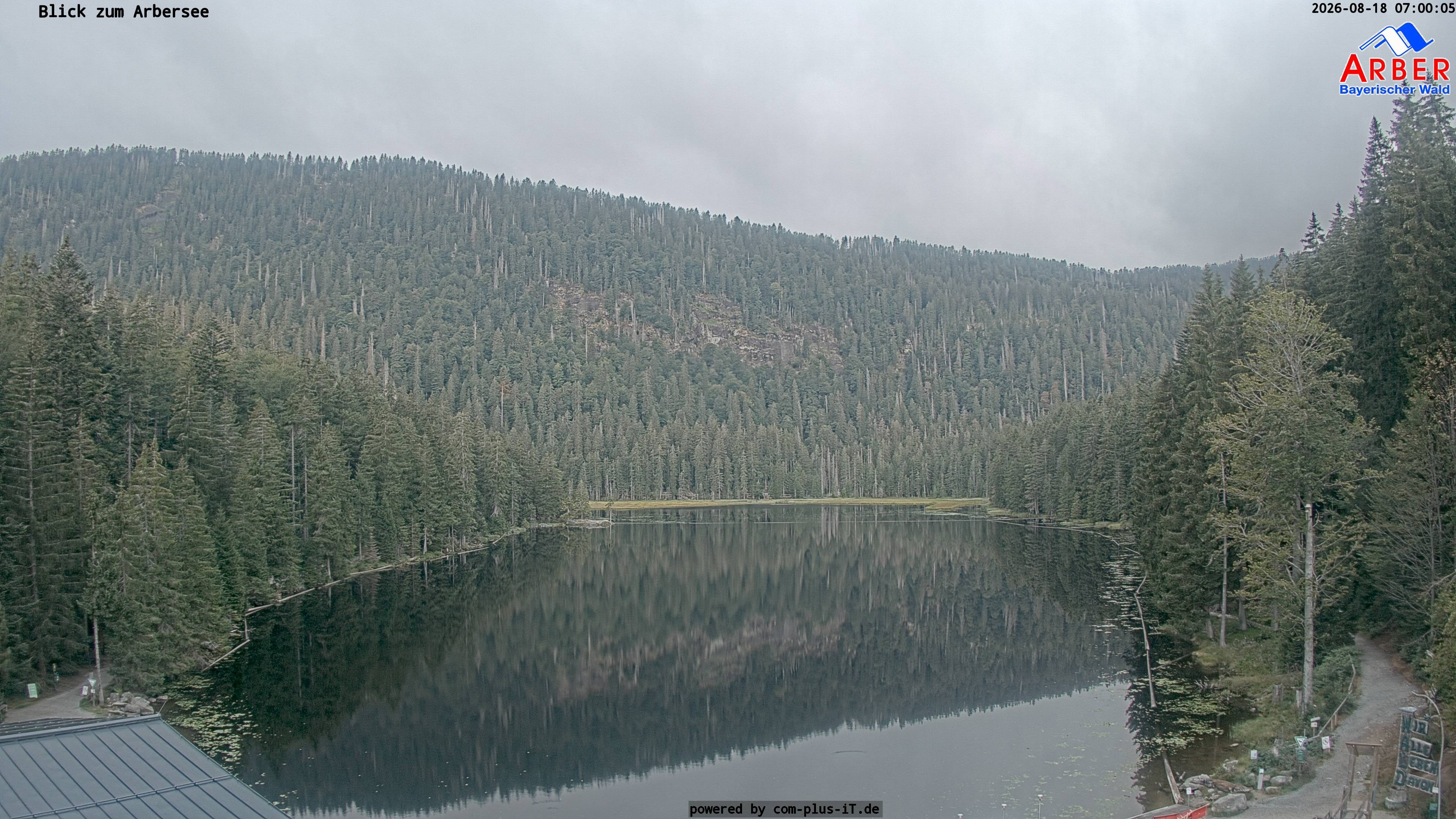 Archiv Foto Webcam Großer Arbersee - Bayerischer Wald